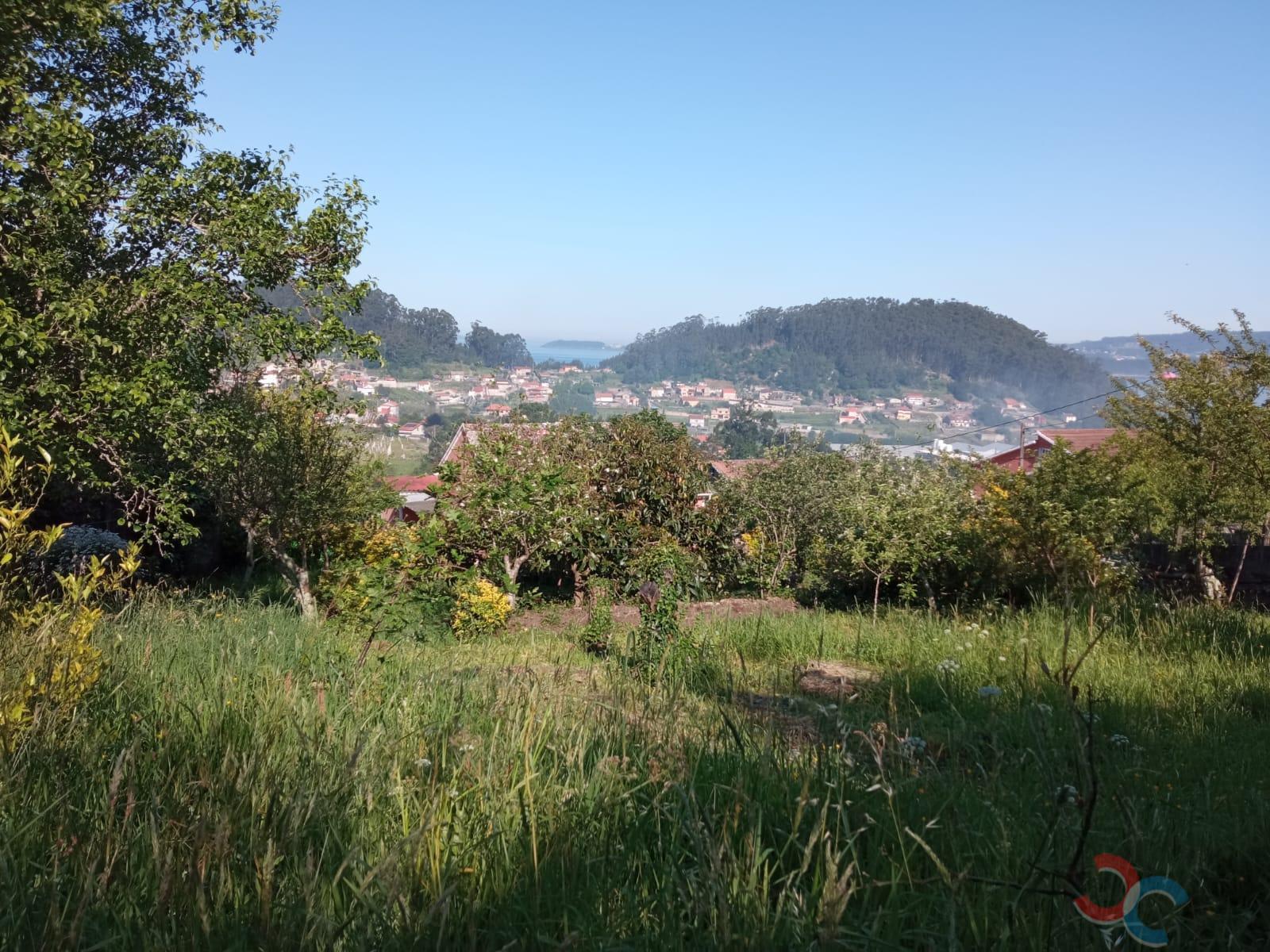Venda de chão em Marín