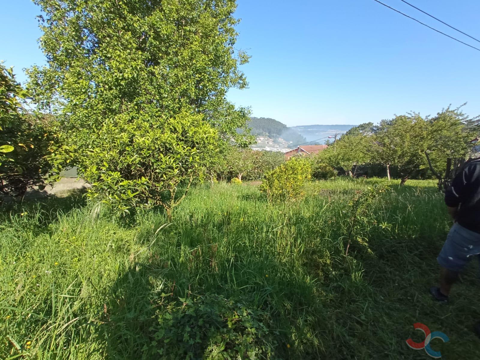 Venda de chão em Marín