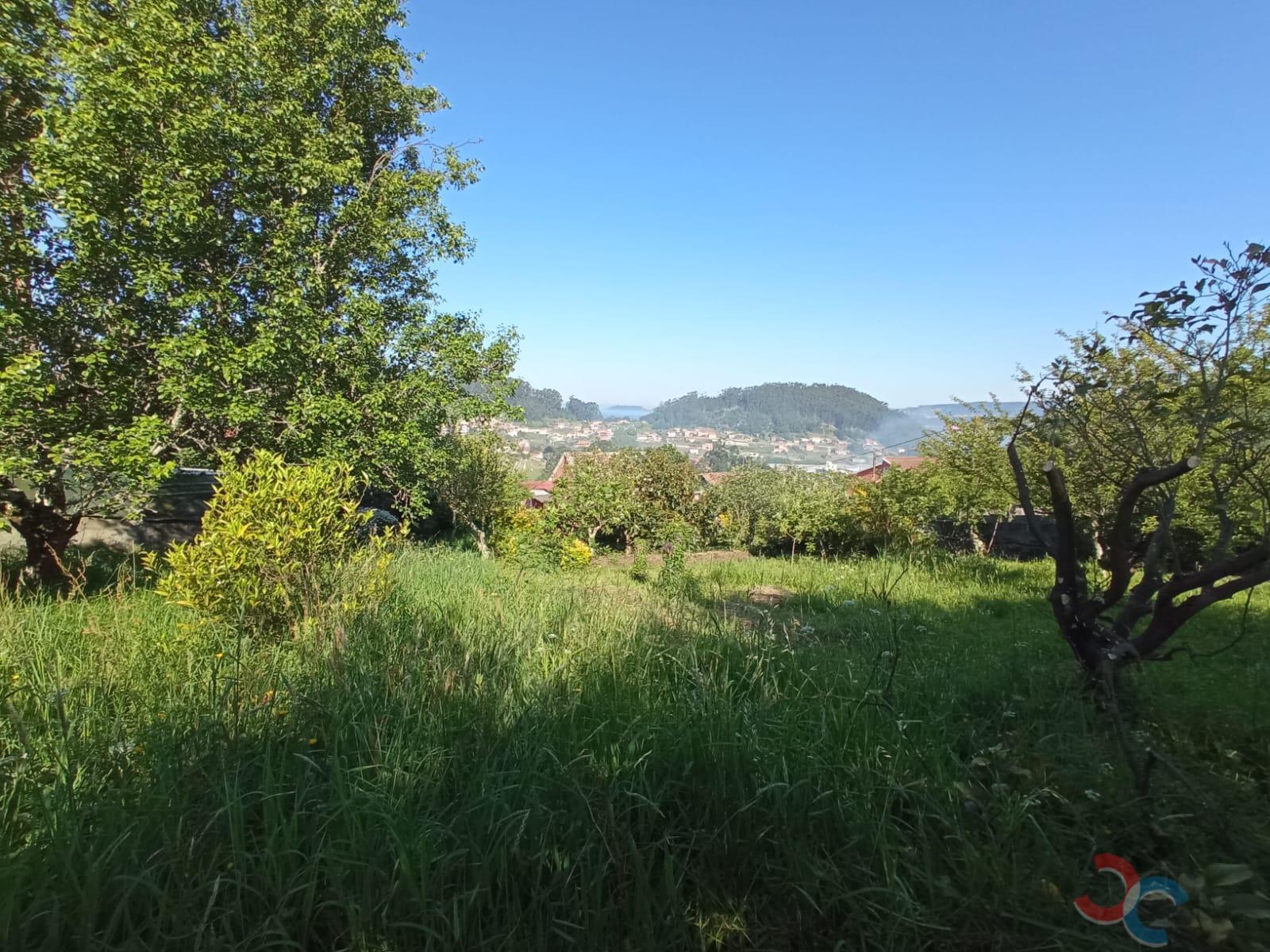 Venda de chão em Marín