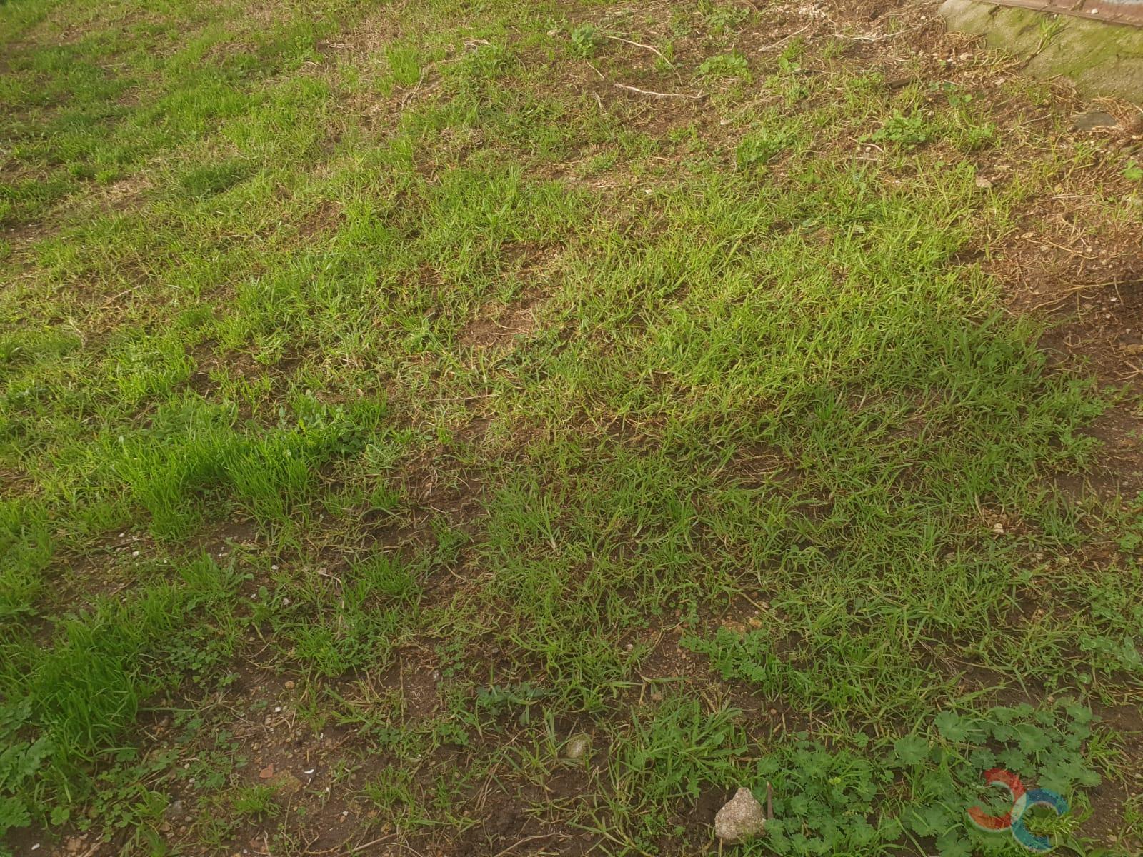 For sale of house in Vilagarcía de Arousa