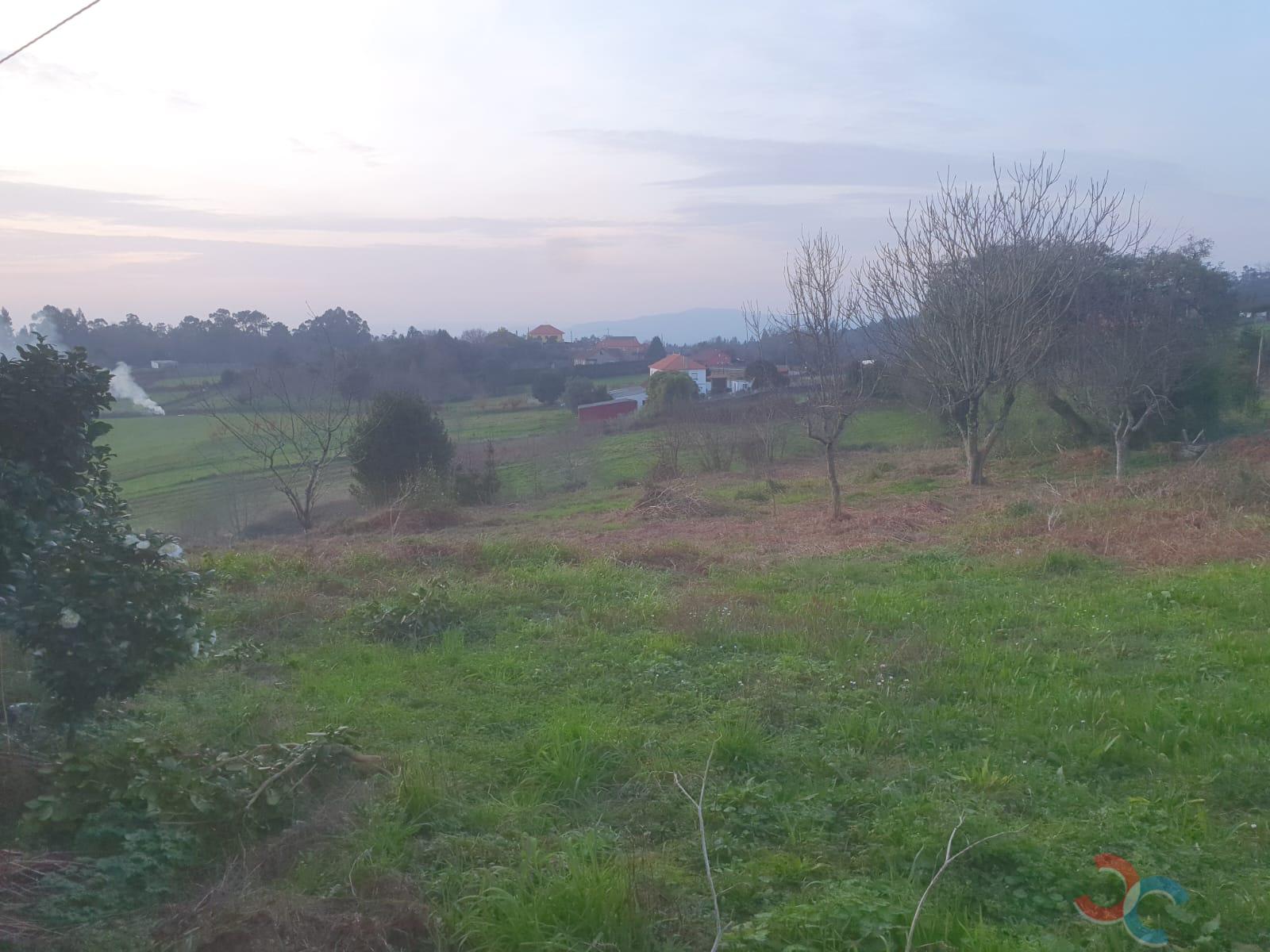 Venda de casa em Campo Lameiro