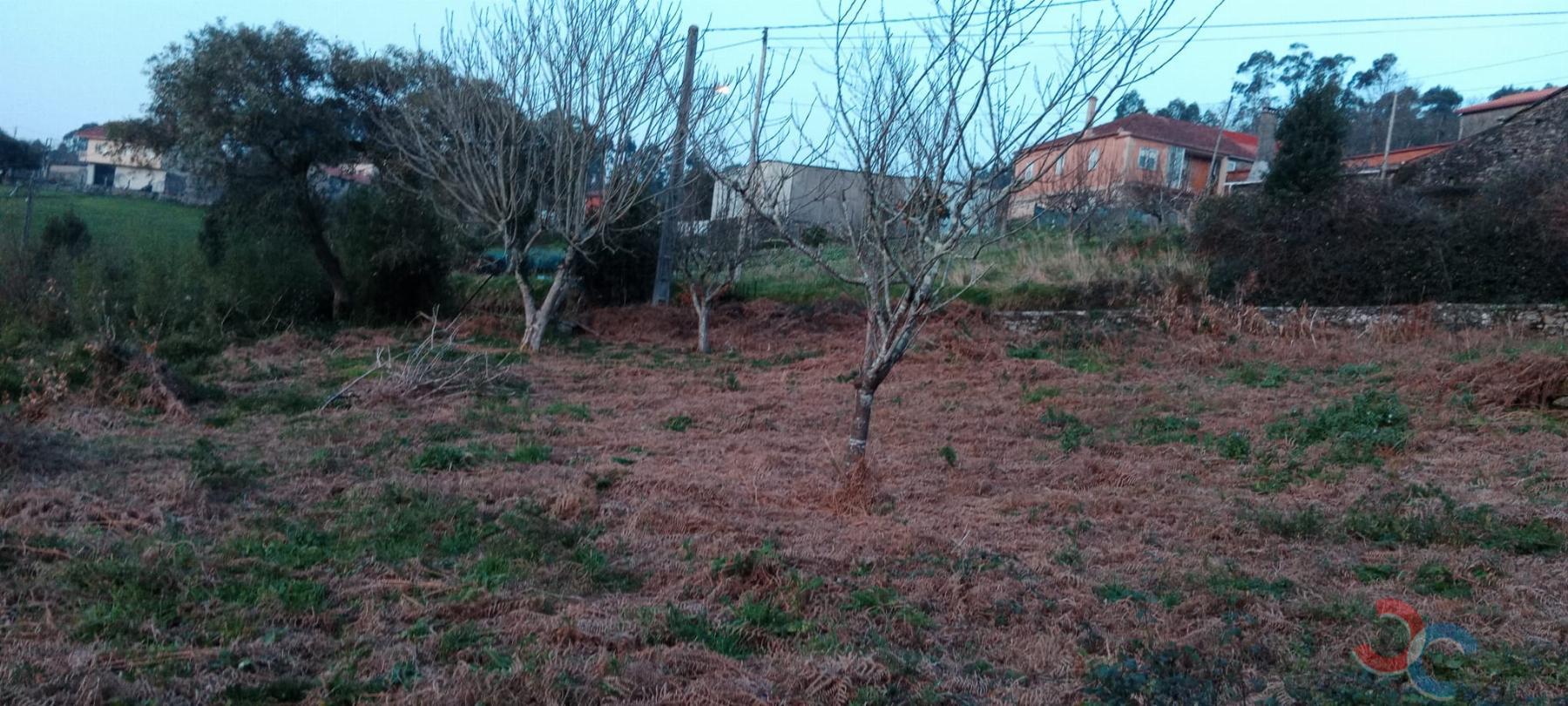 Venda de casa em Campo Lameiro