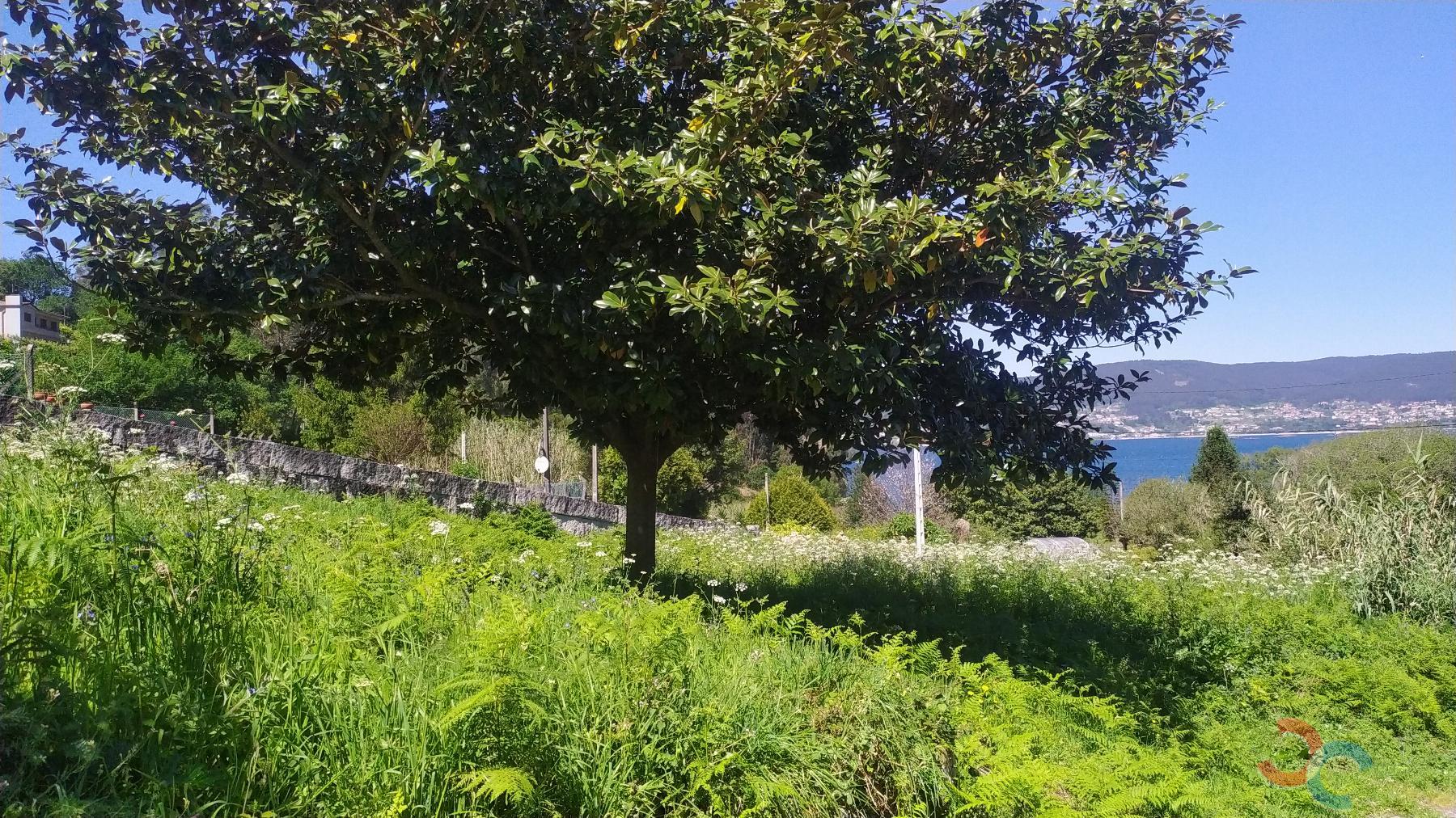 For sale of land in Marín