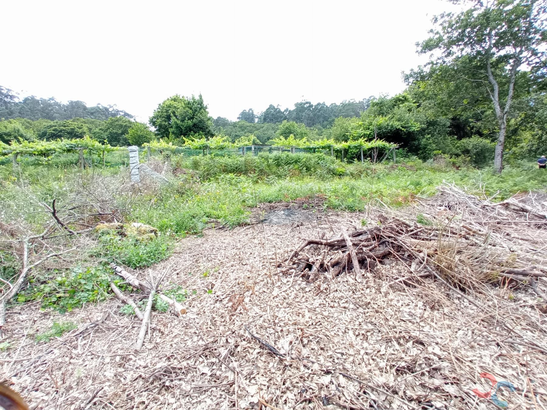 Venta de terreno en Marín