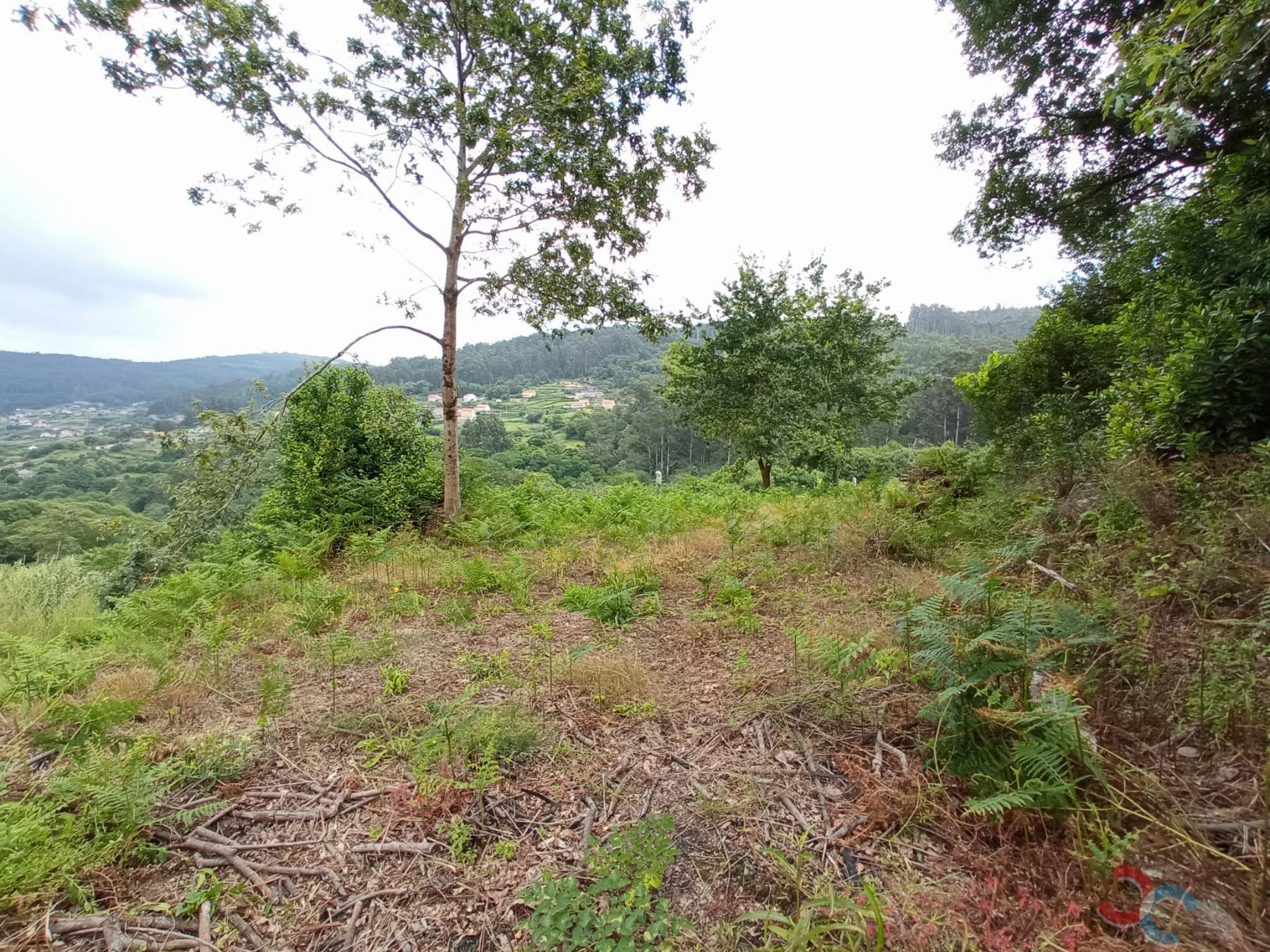 Venta de terreno en Marín