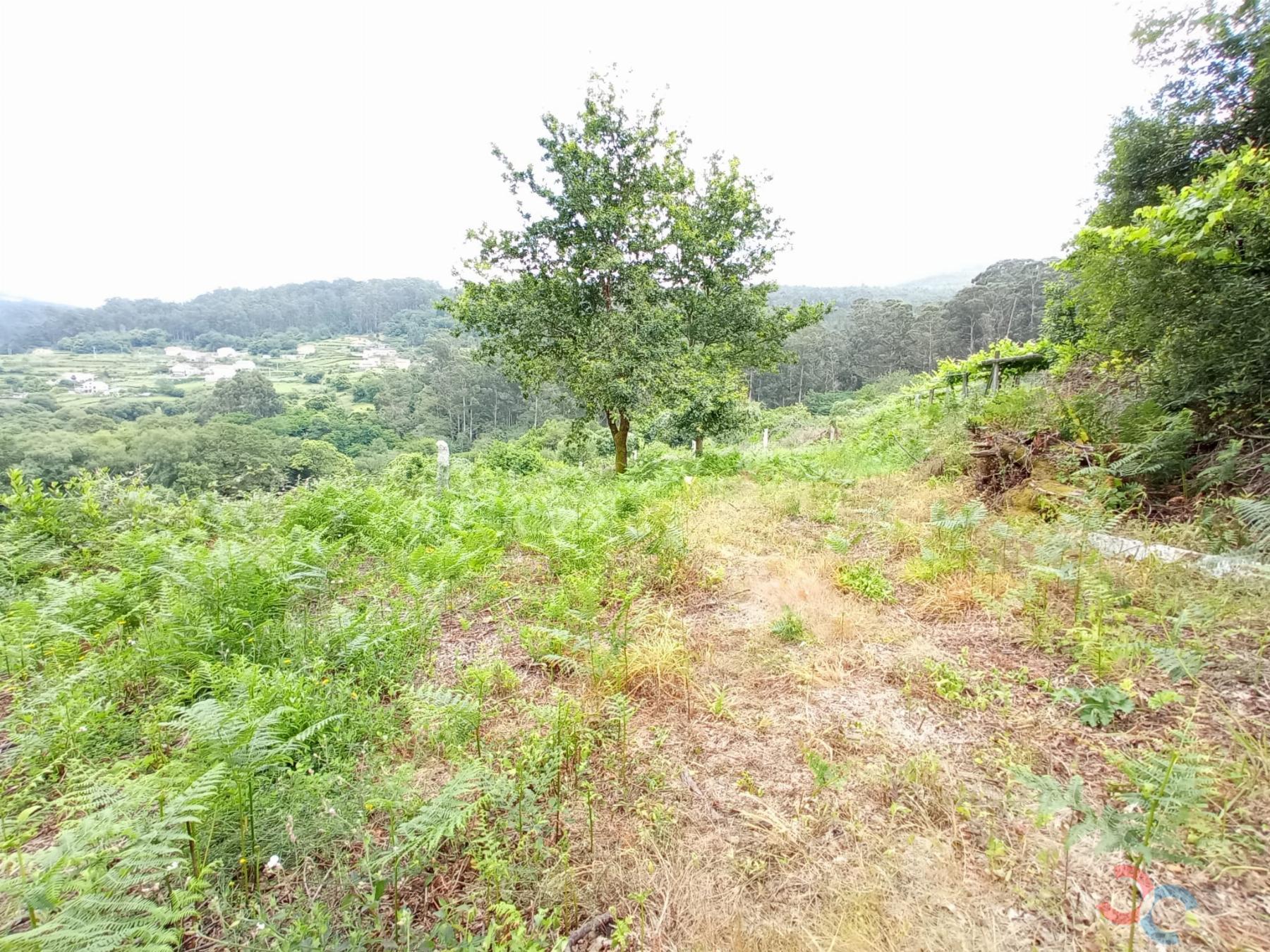 Venta de terreno en Marín