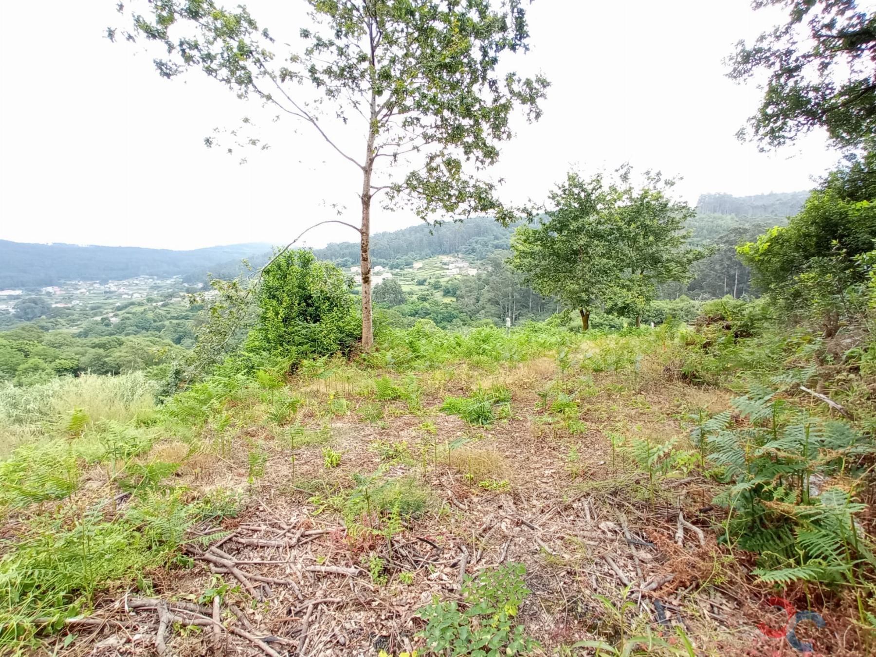 Venta de terreno en Marín