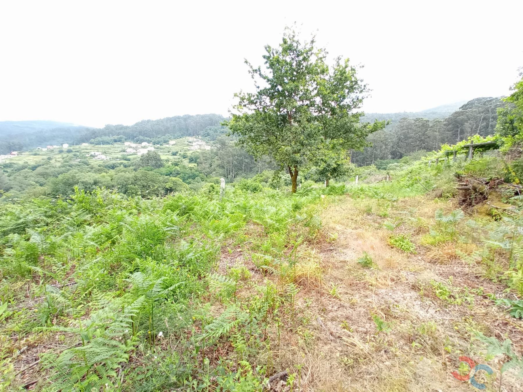 For sale of land in Marín