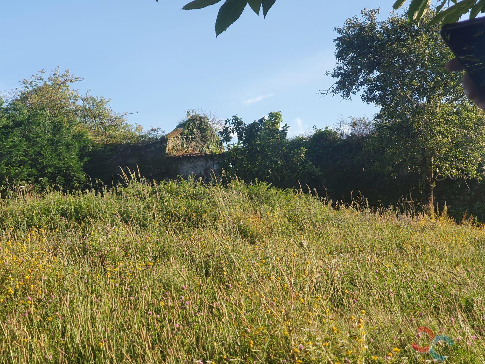 For sale of land in Poio