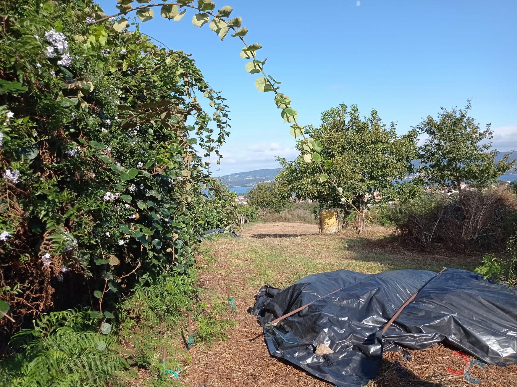 Venta de terreno en Marín