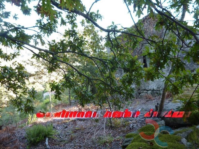 For sale of house in Fornelos de Montes