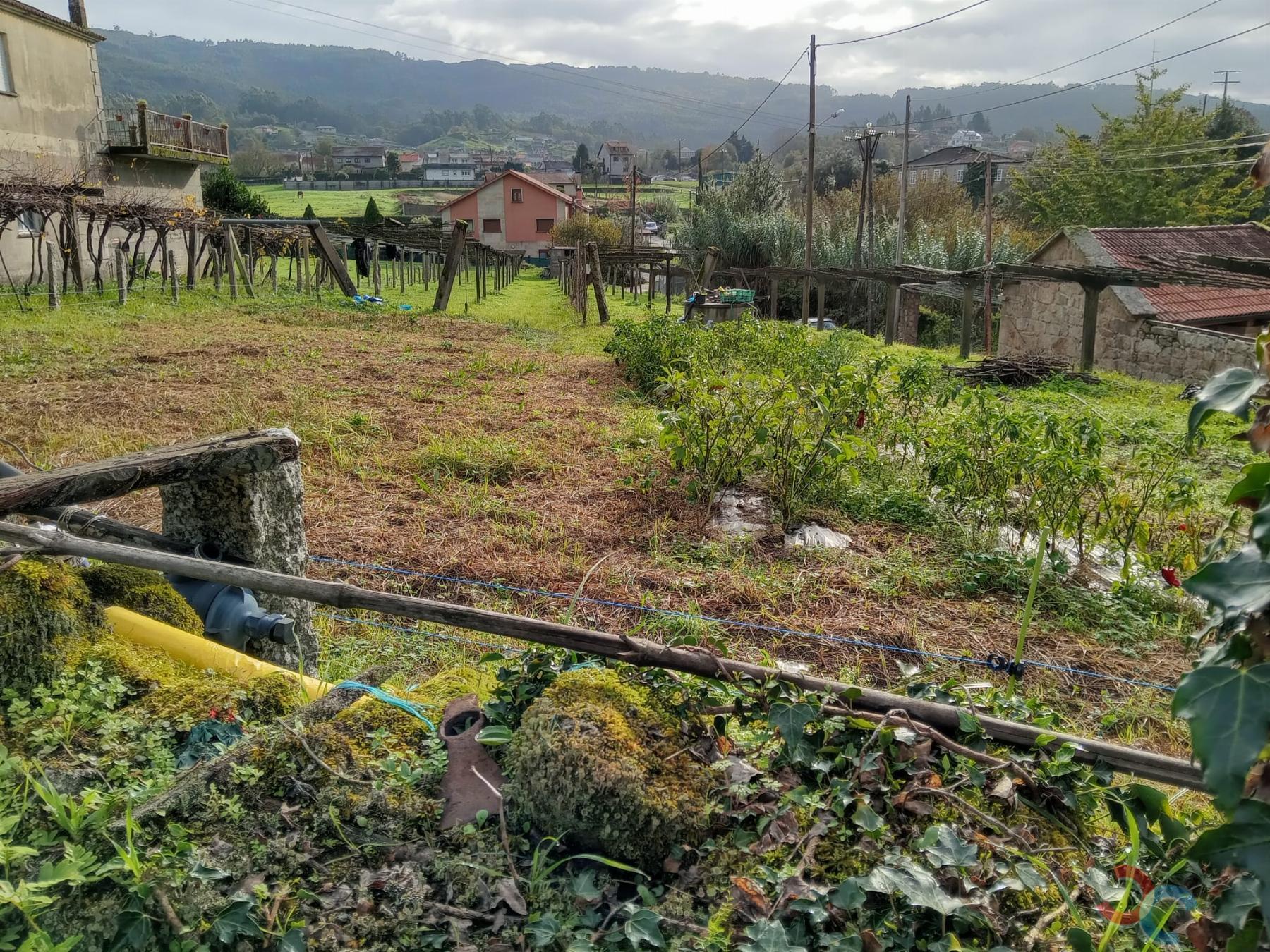 Venta de terreno en Cotobade