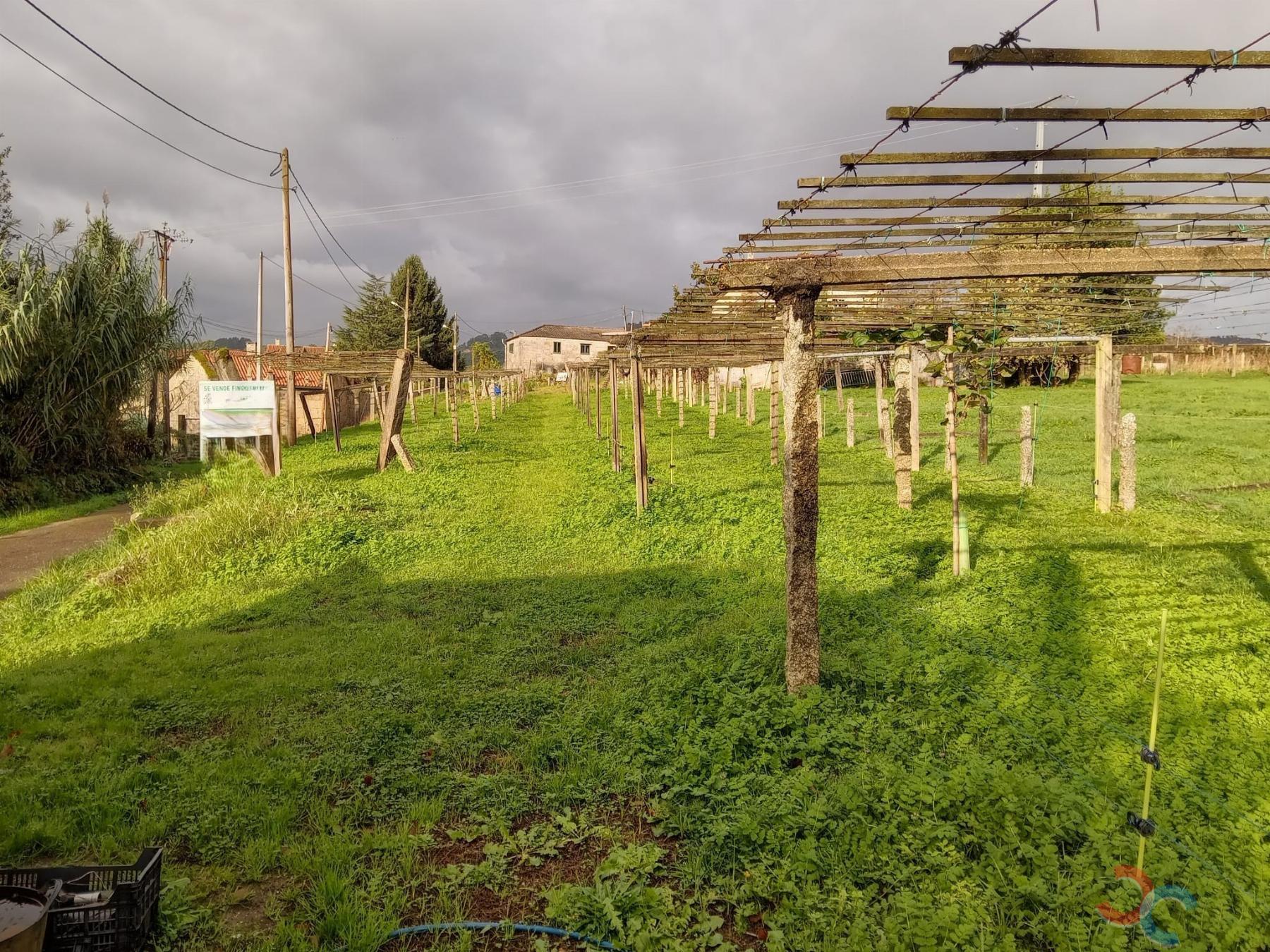 Venta de terreno en Cotobade