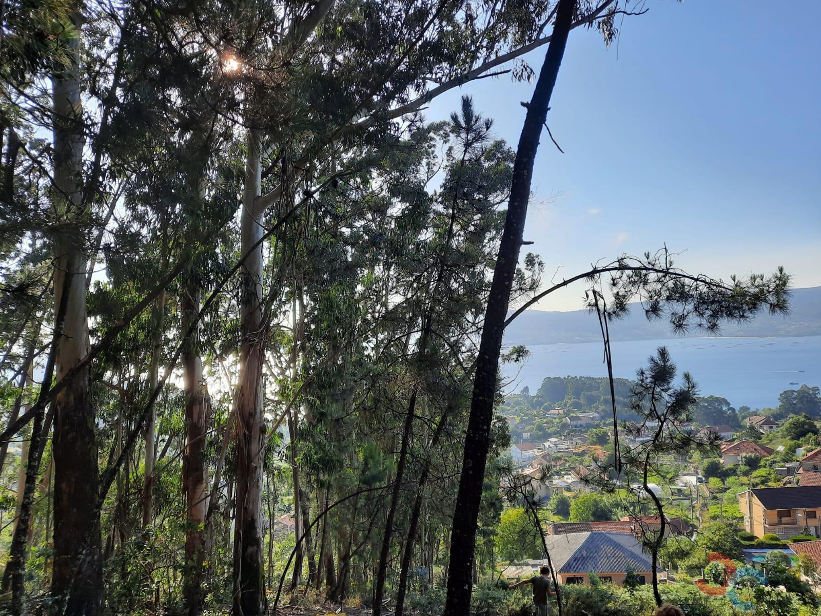 For sale of land in Marín