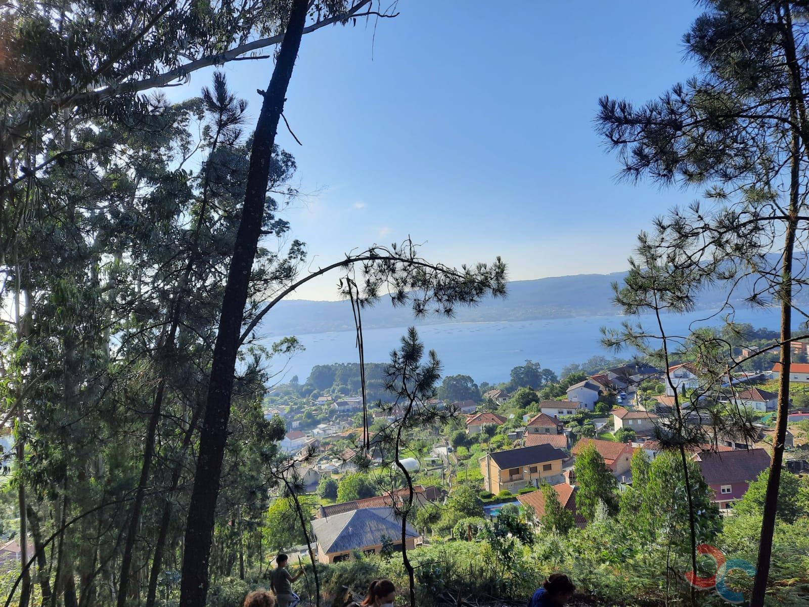 For sale of land in Marín