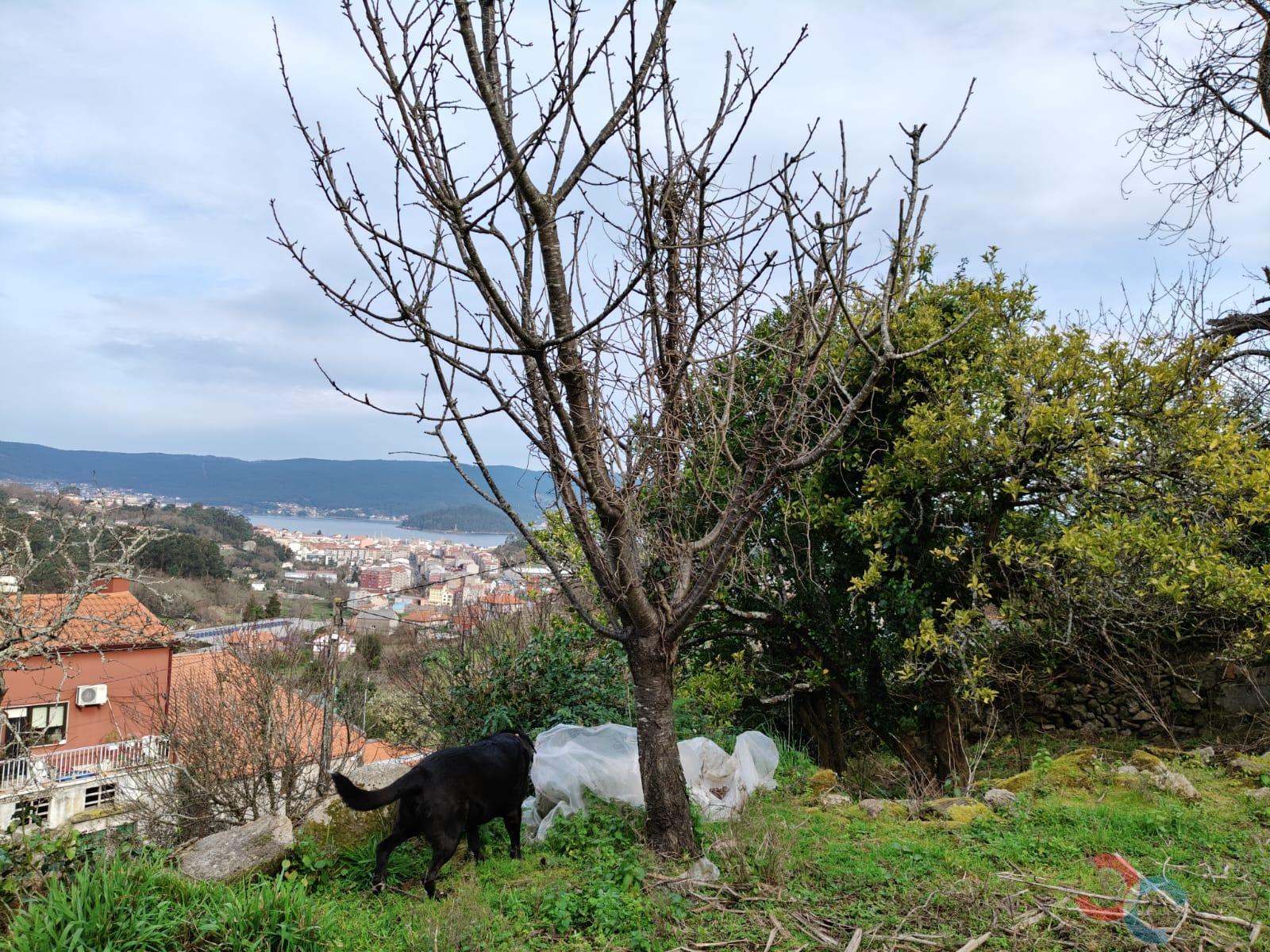 For sale of house in Marín