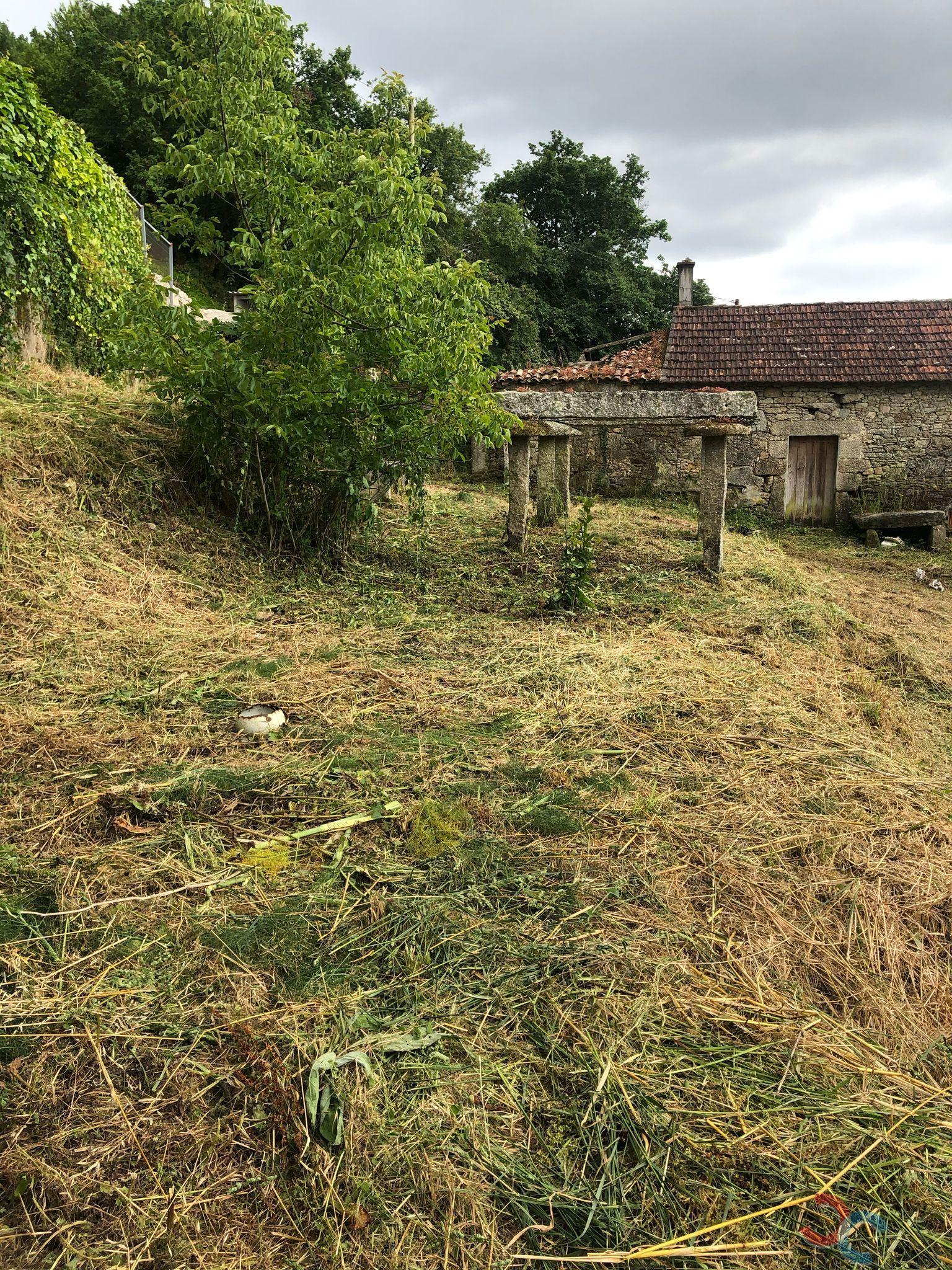 For sale of house in Barro