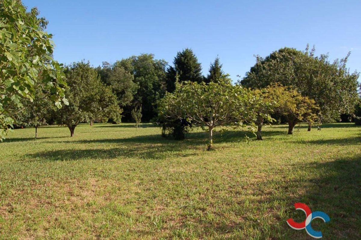 For sale of land in Pontecesures