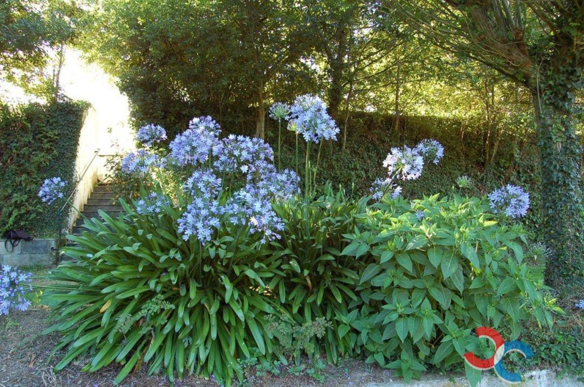 For sale of land in Pontecesures
