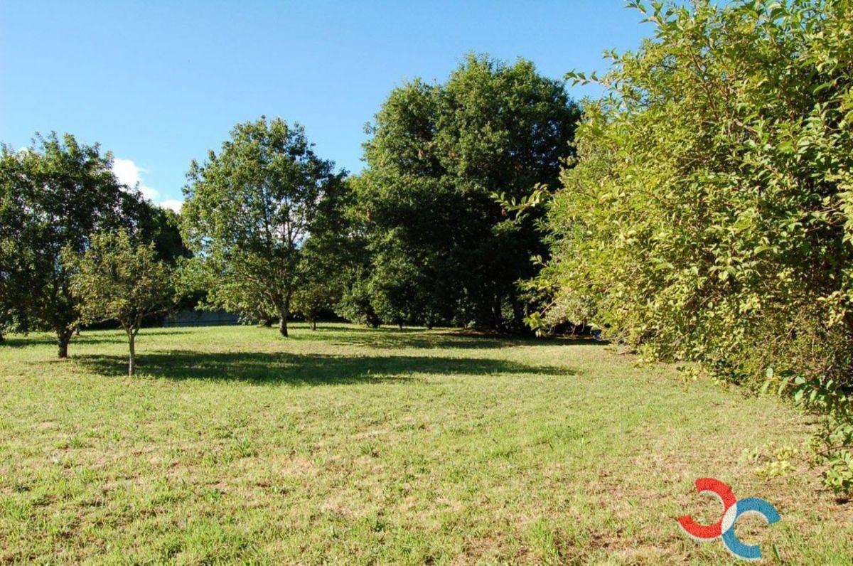 For sale of land in Pontecesures