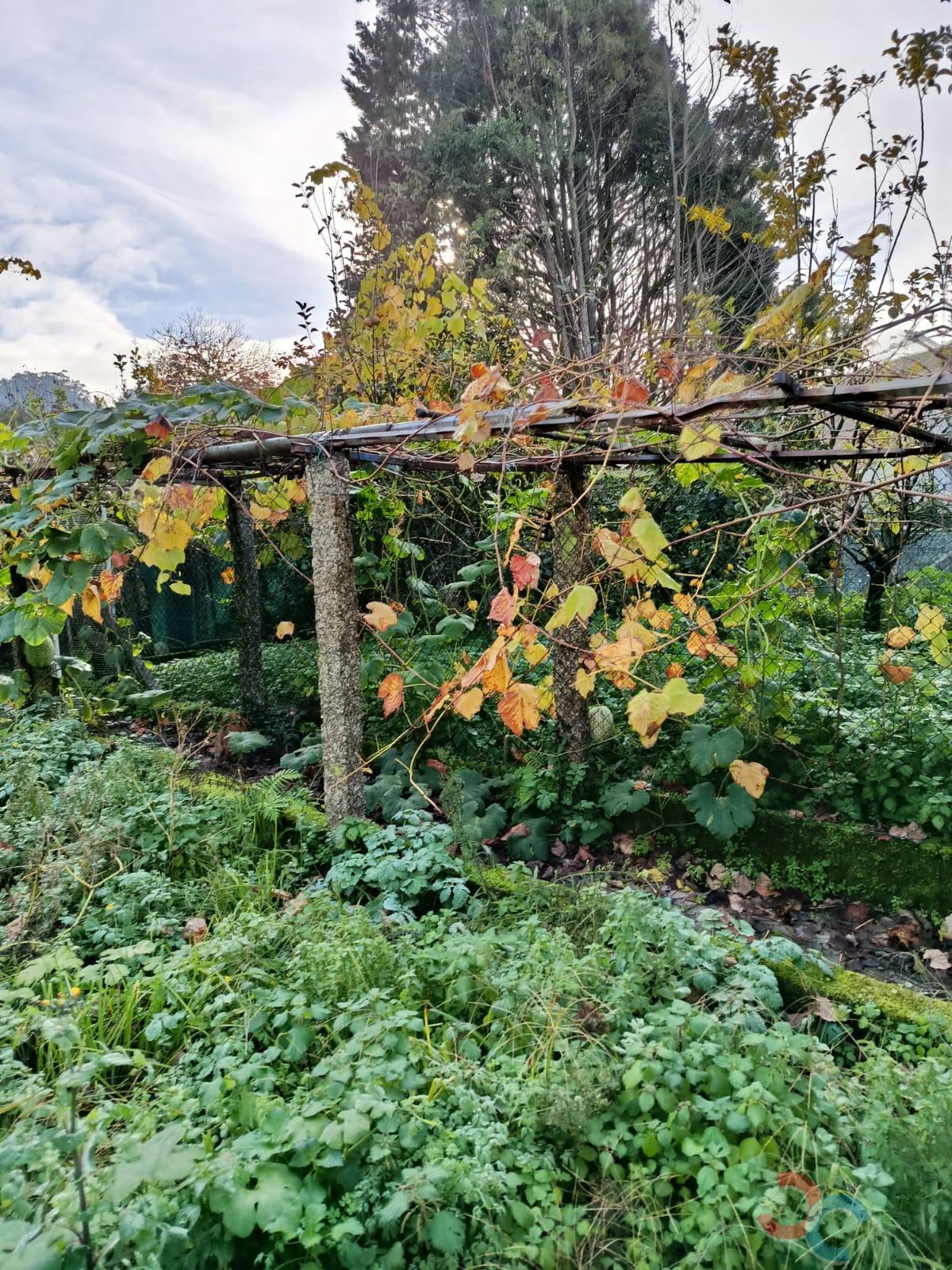 Venta de terreno en Marín
