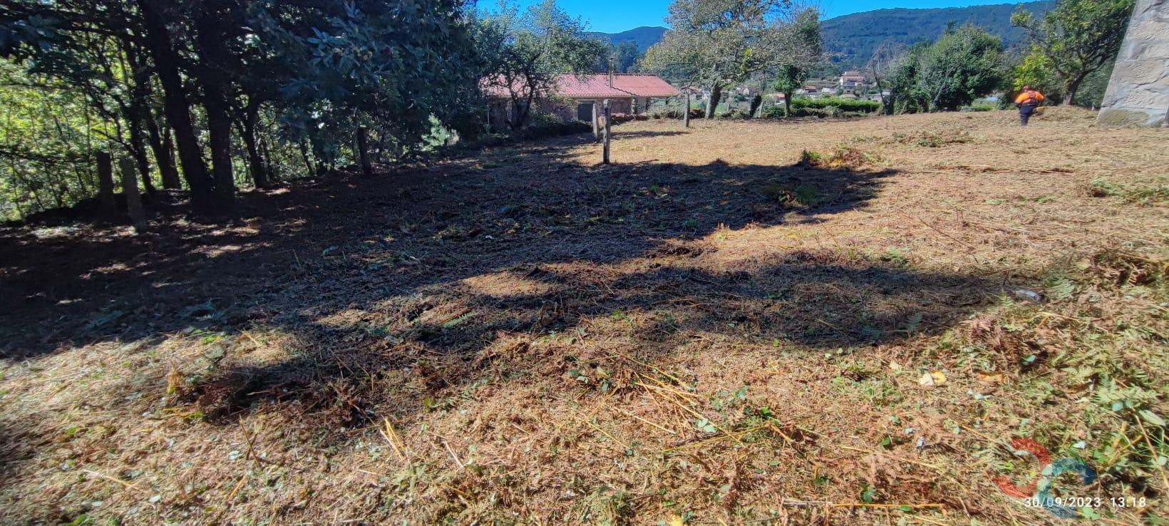 Venta de casa en Becerreá