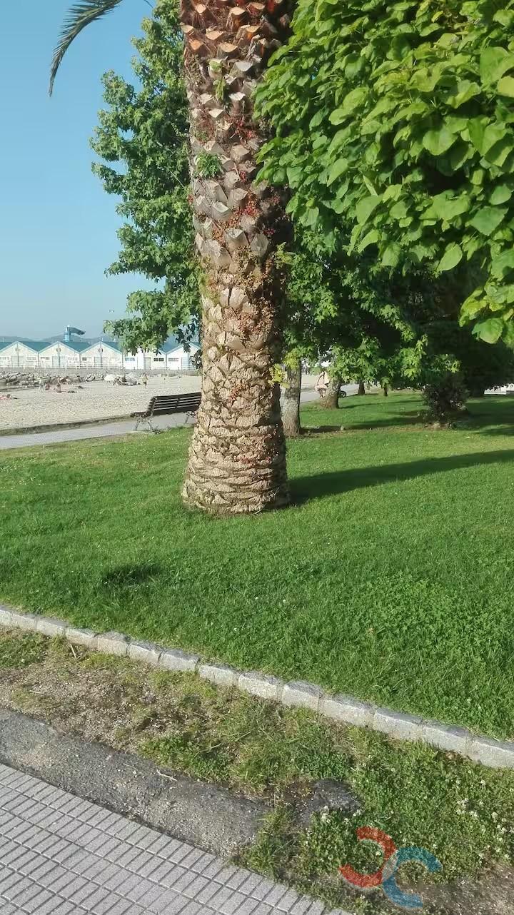 Venta de piso en Bueu
