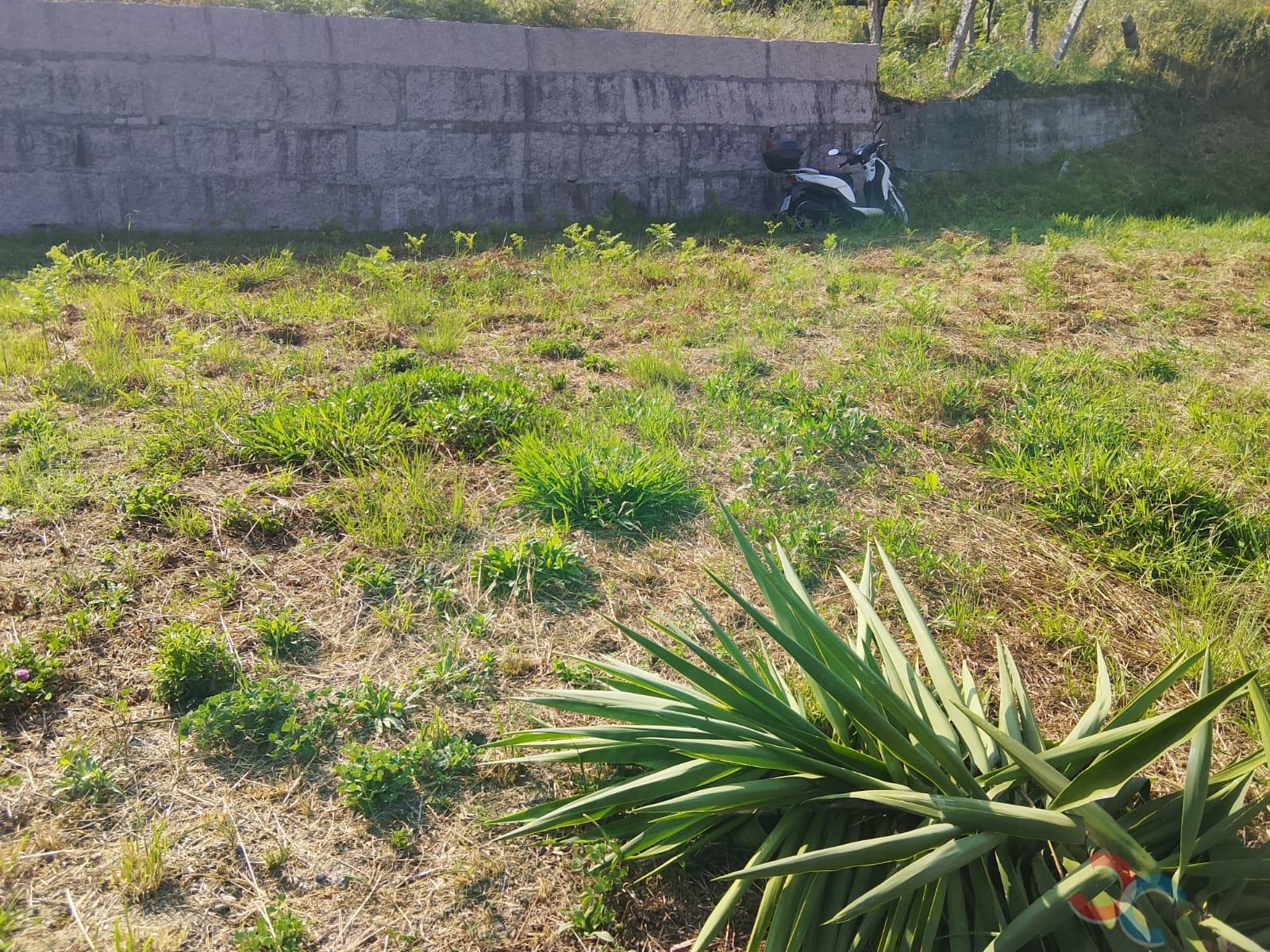 Venta de finca de recreo en Poio