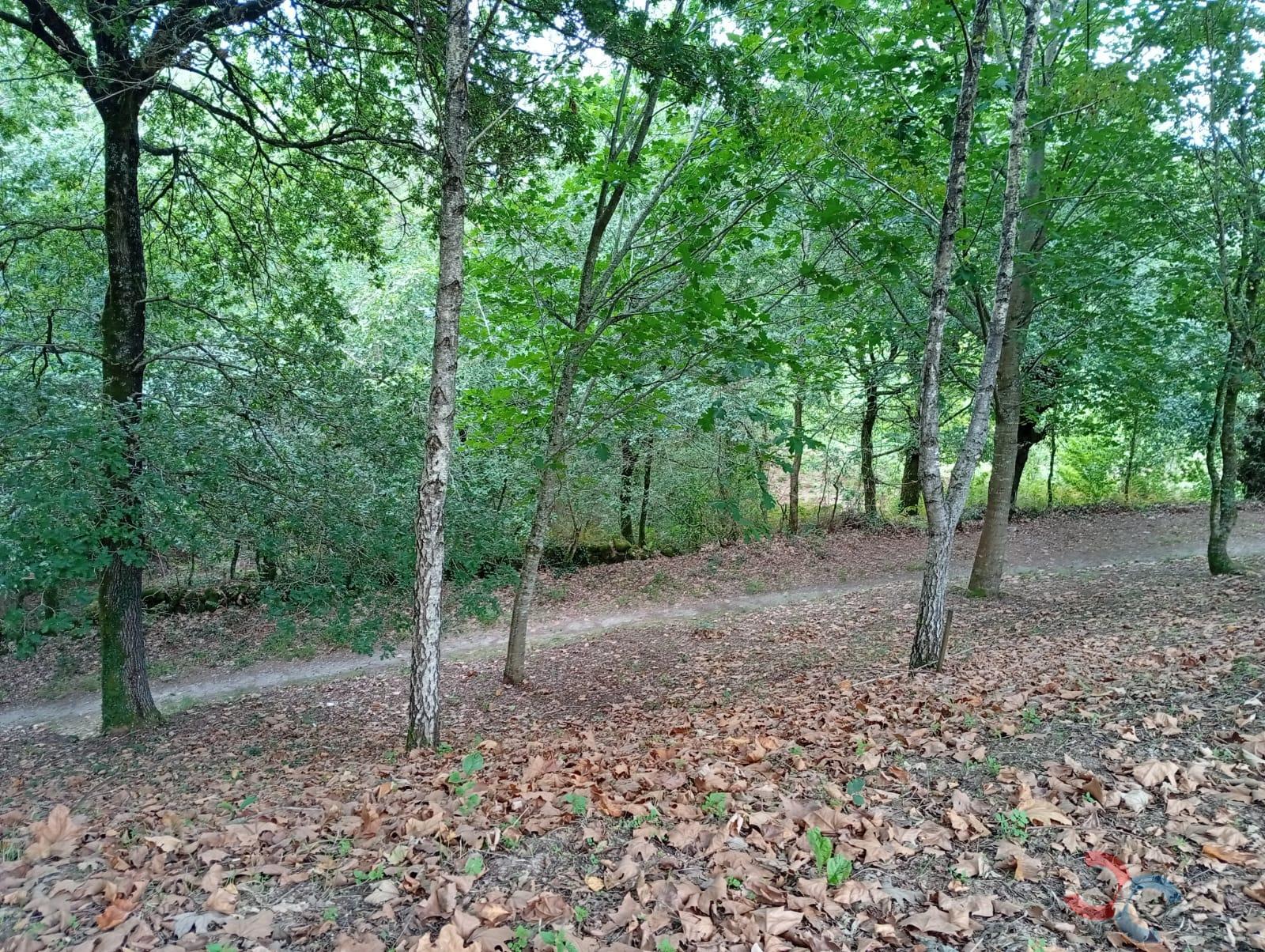 Venta de terreno en Pontevedra