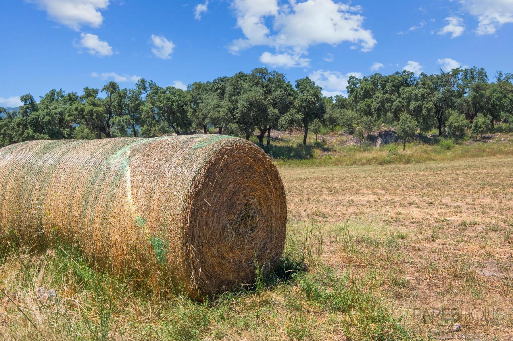 For sale of rural property in Agullana