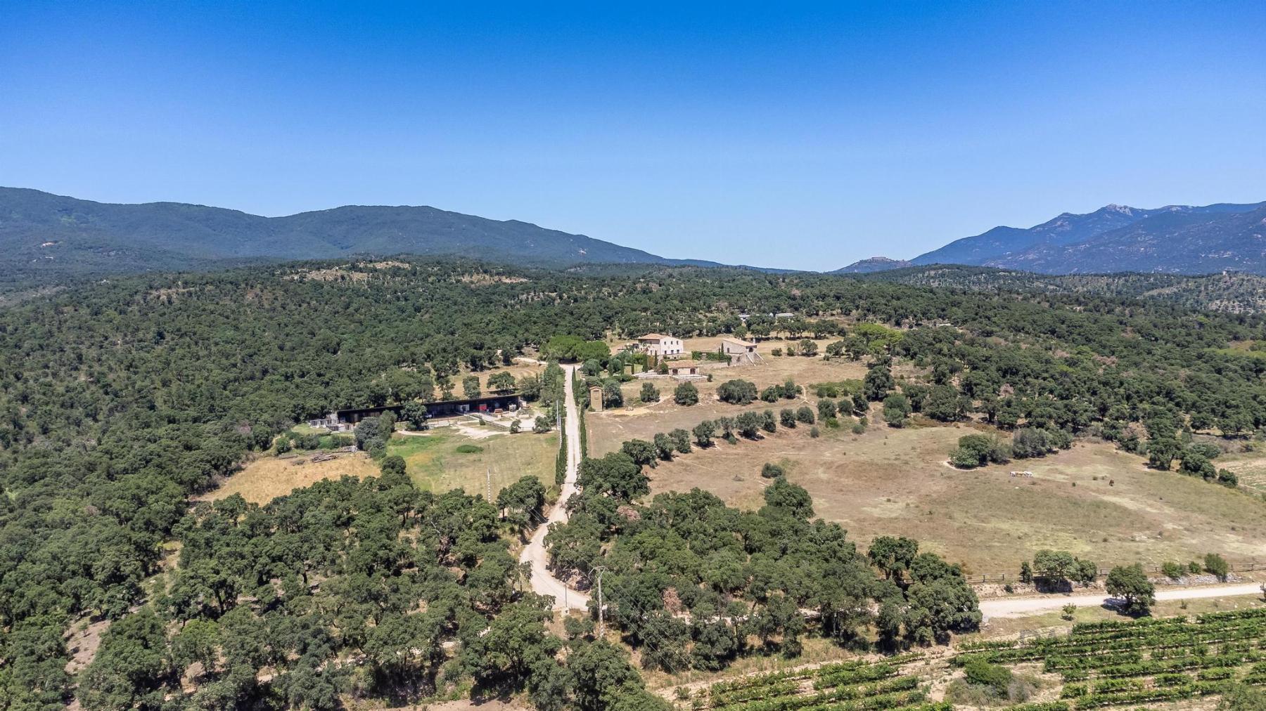 For sale of rural property in Agullana