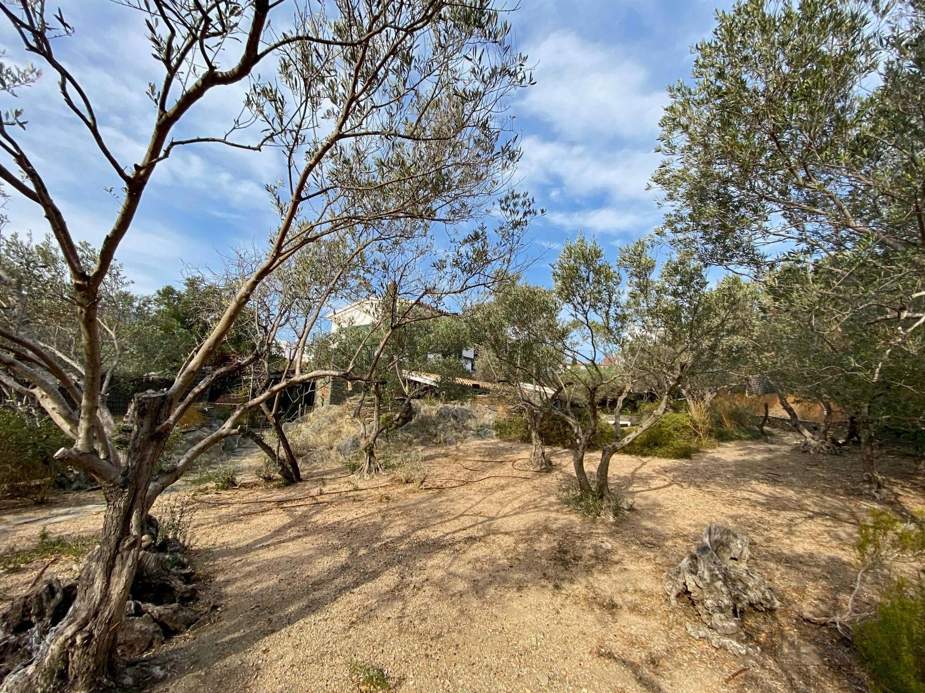 For sale of chalet in Cadaqués