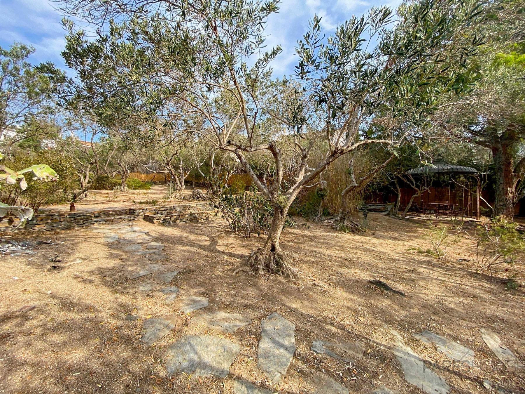 For sale of chalet in Cadaqués