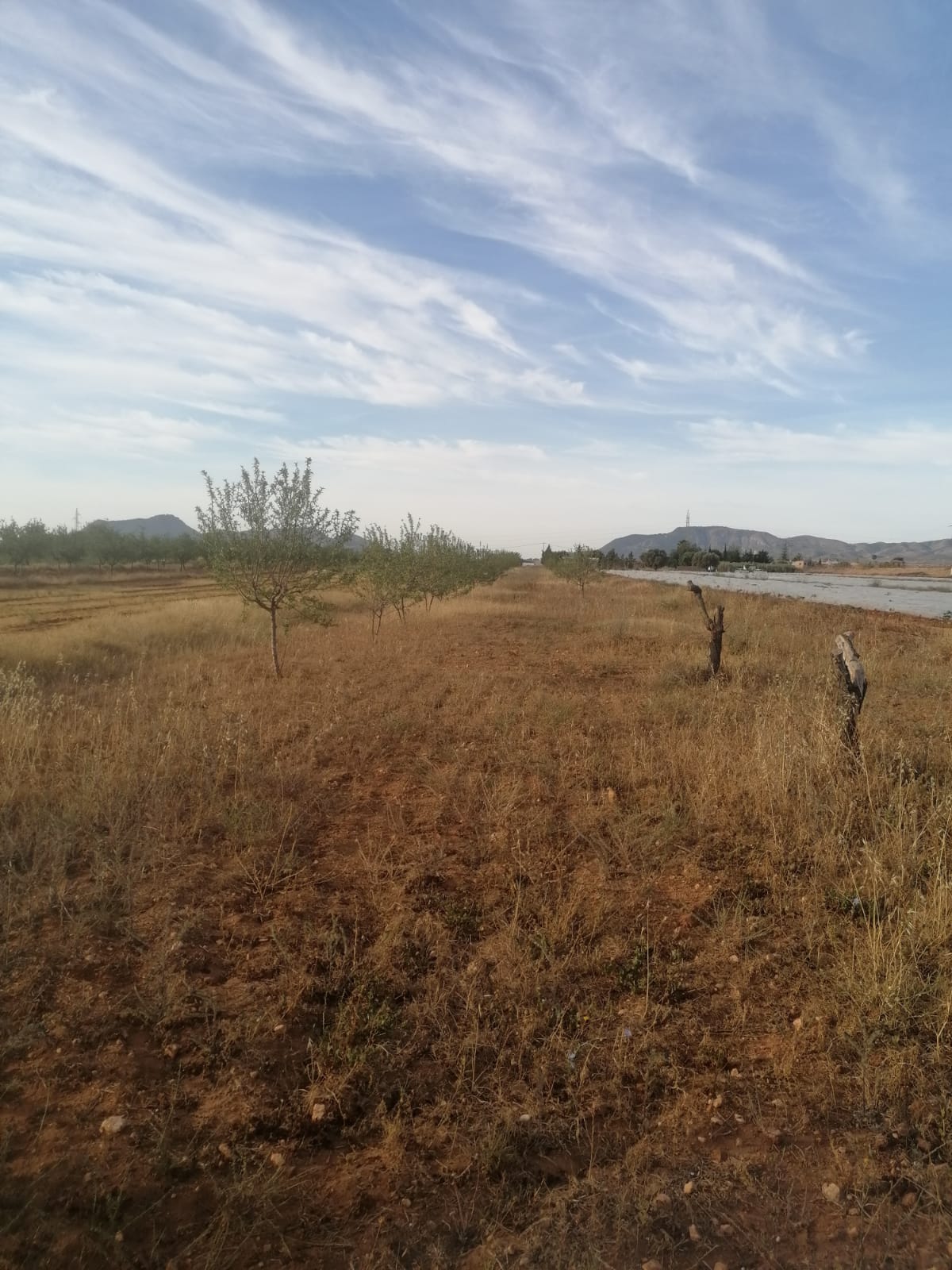 Venta de finca rústica en Cartagena