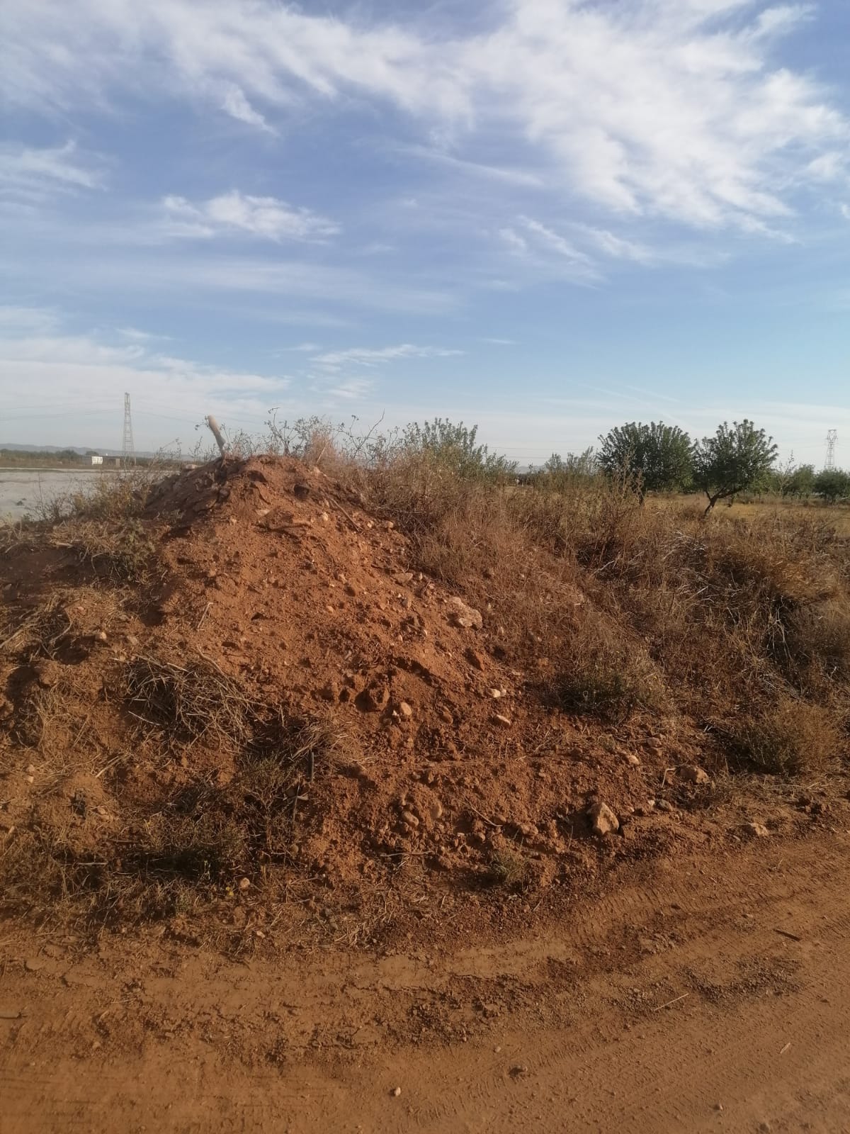 For sale of rural property in Cartagena