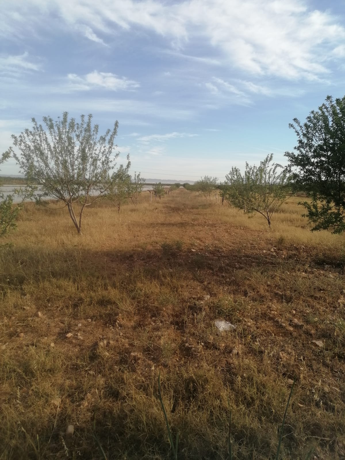 For sale of rural property in Cartagena