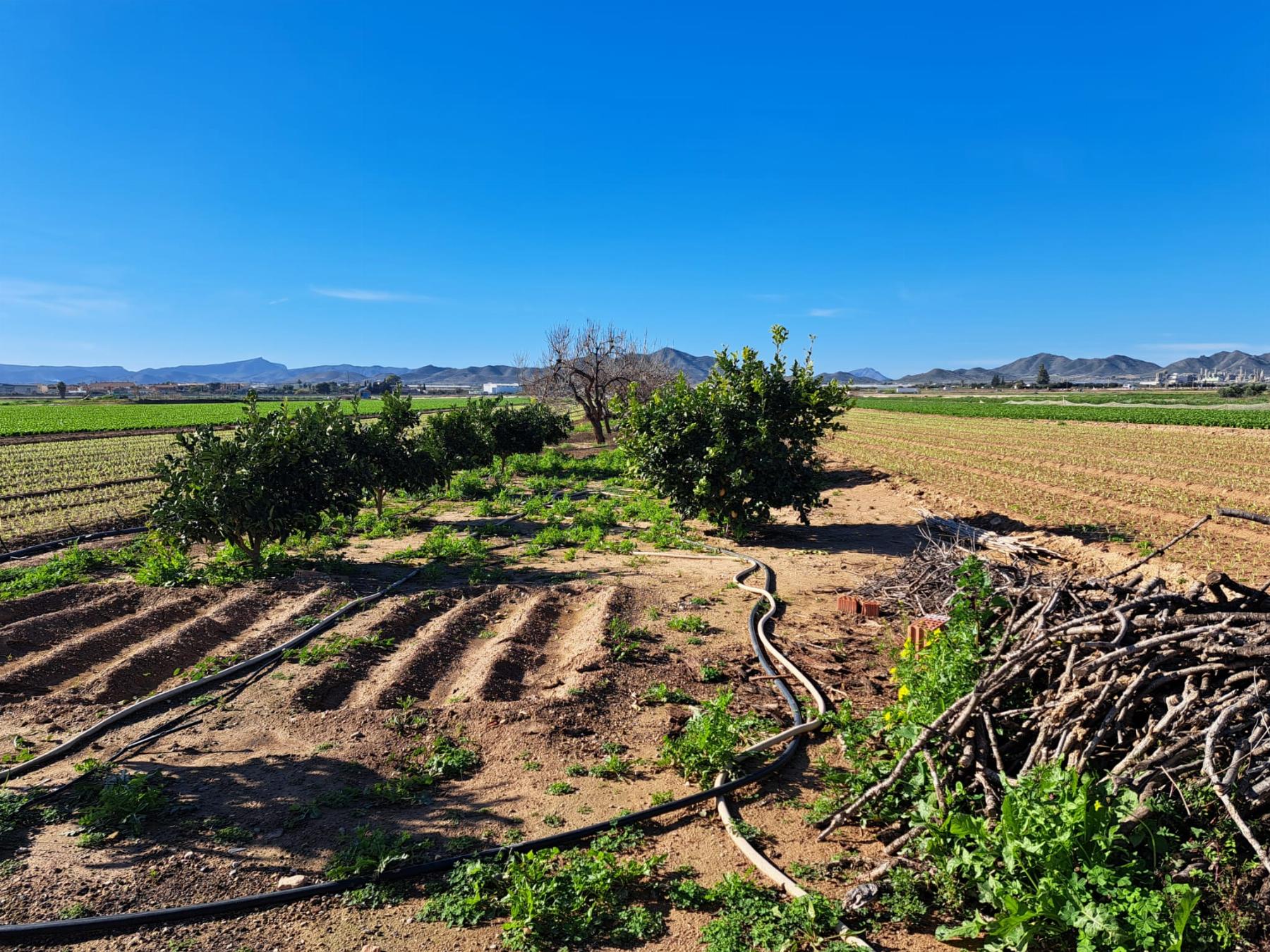 Venta de finca rústica en Cartagena