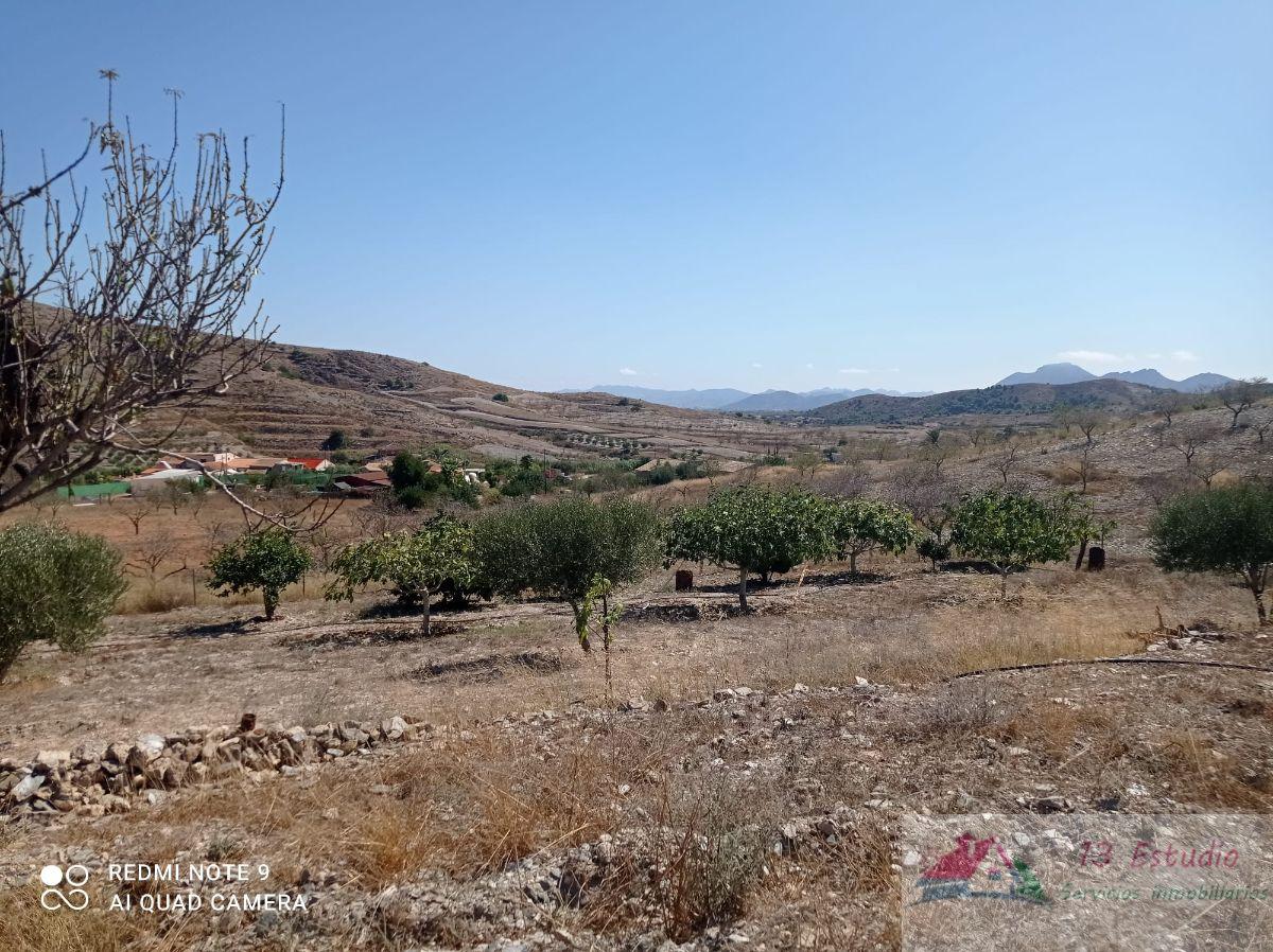 For sale of rural property in Cartagena