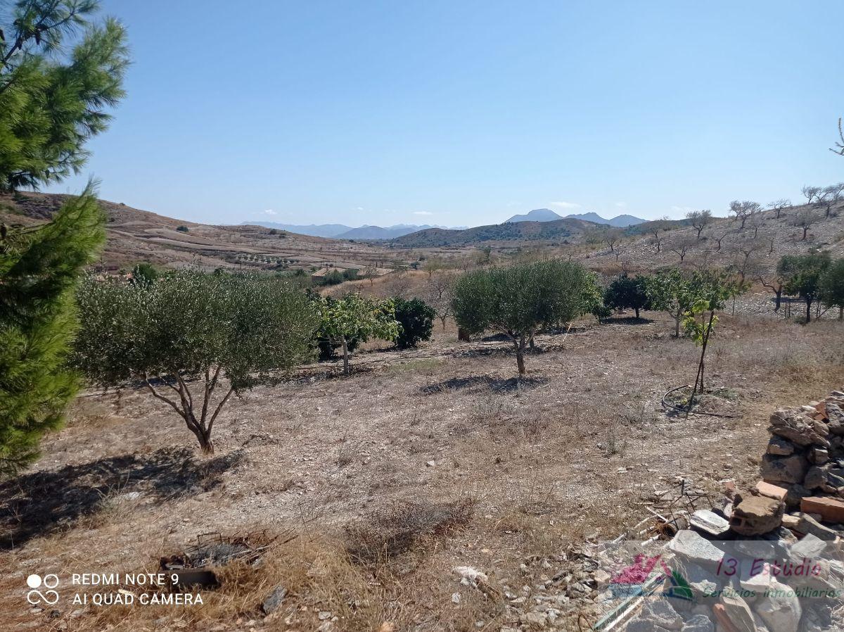 For sale of rural property in Cartagena