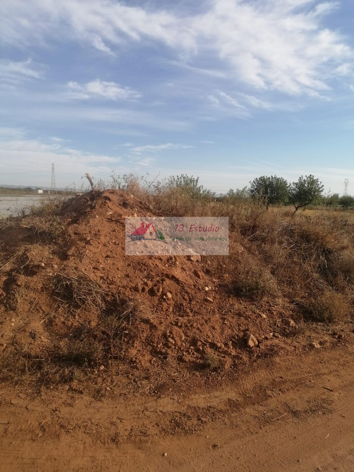 Venta de finca rústica en Cartagena