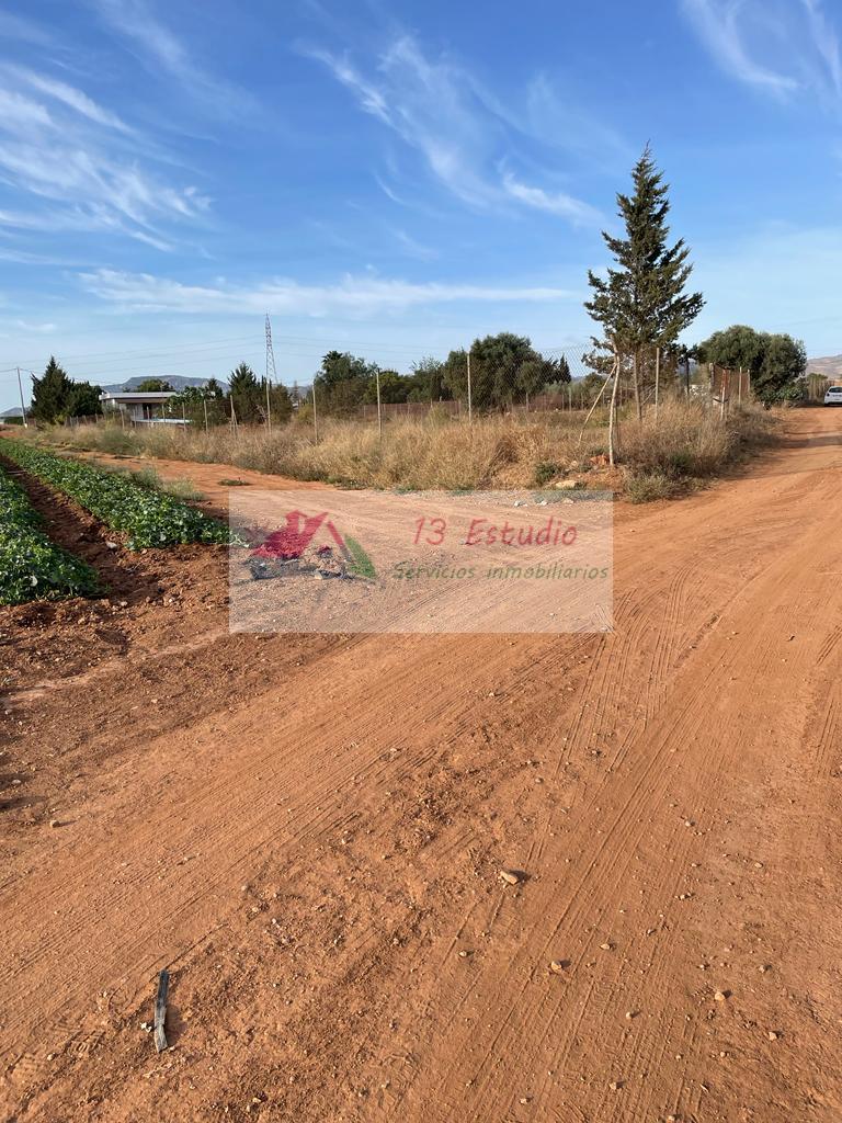 Venta de finca rústica en Cartagena