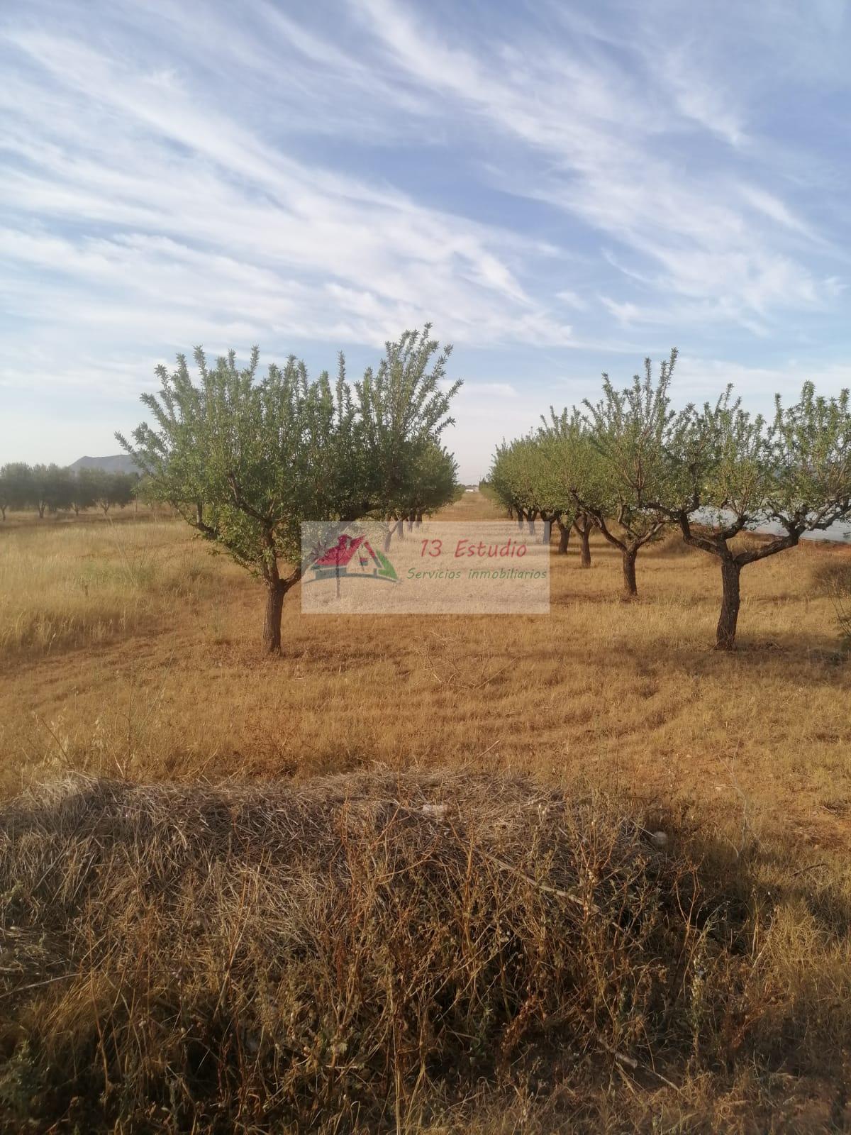 Venta de finca rústica en Cartagena