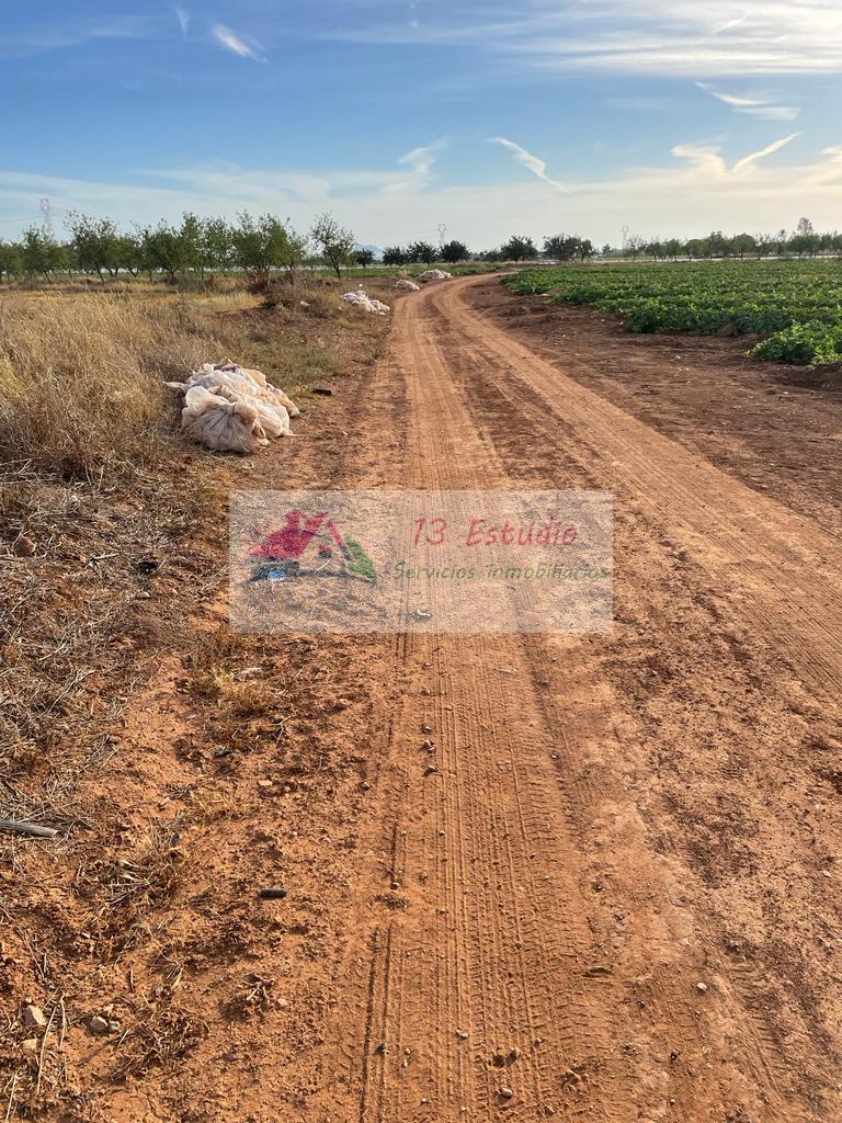 Venta de finca rústica en Cartagena