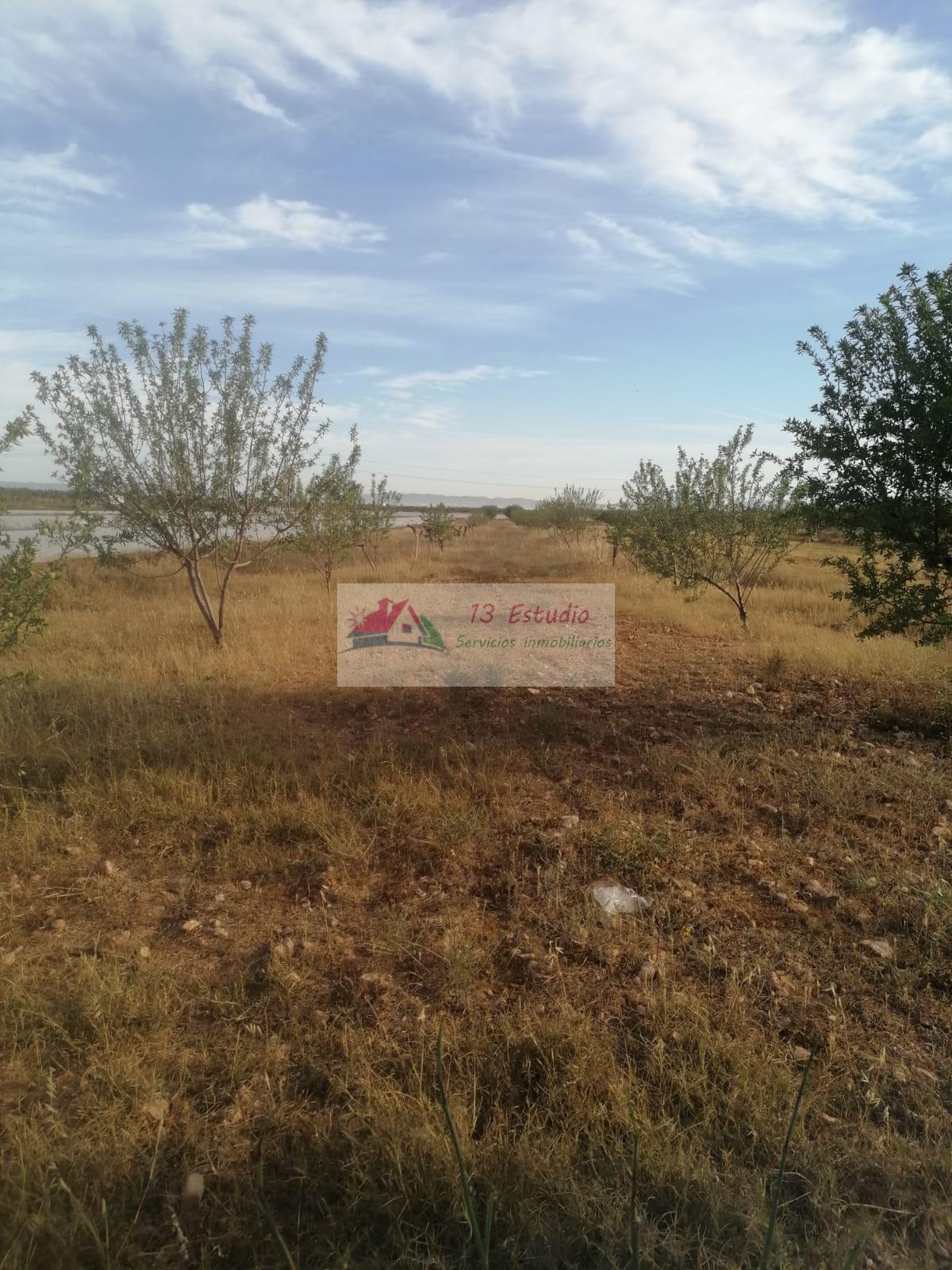 Venta de finca rústica en Cartagena