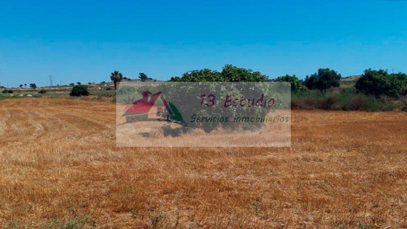 Venta de finca rústica en Cartagena