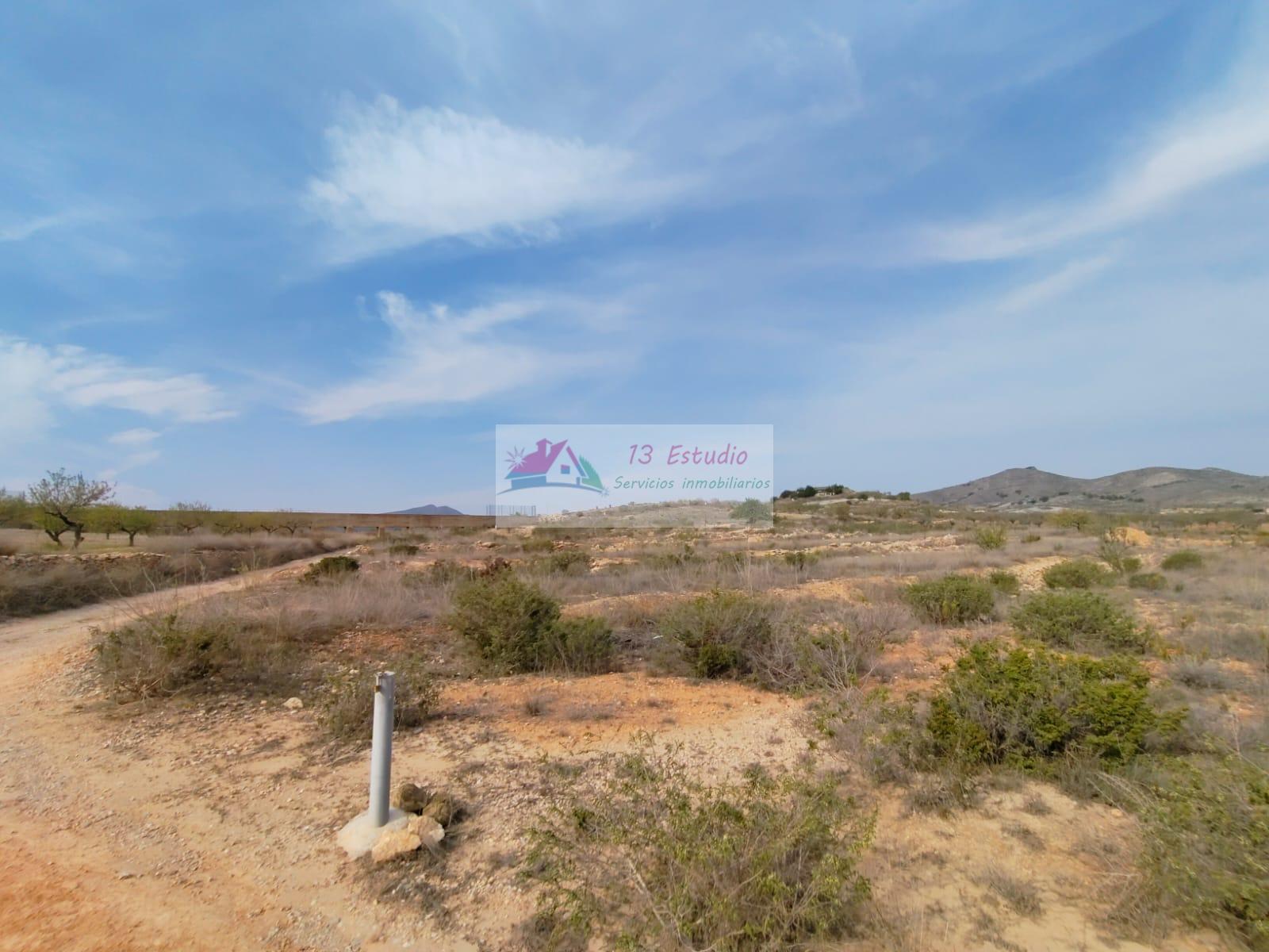 Venta de finca rústica en Cartagena