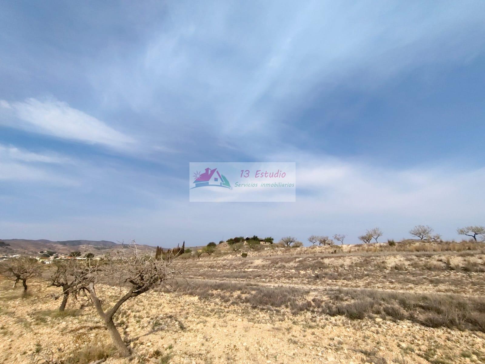Venta de finca rústica en Cartagena