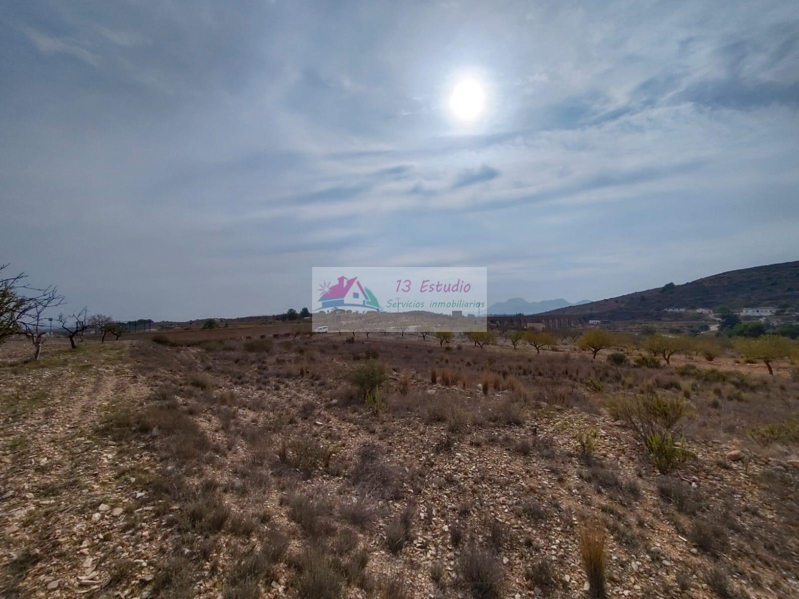 Venta de finca rústica en Cartagena