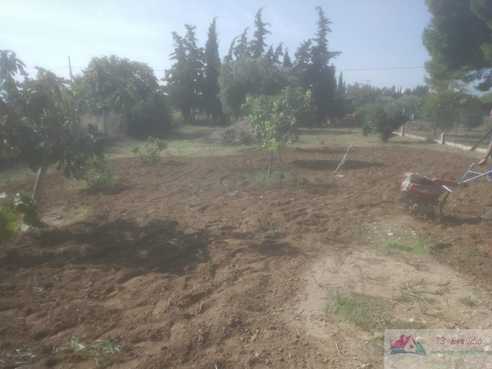 Terreno