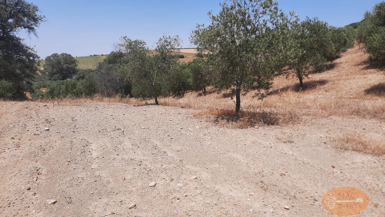 Venta de terreno en Puerto Serrano